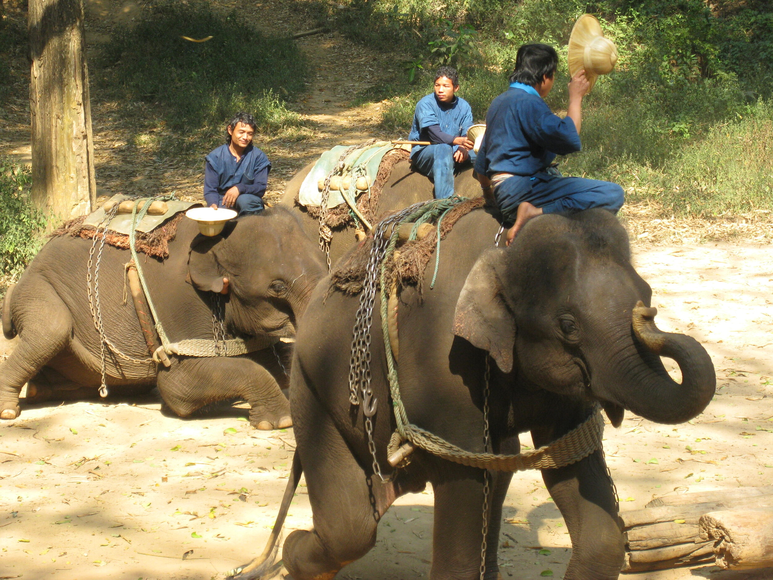 Burma 2014 197.jpeg