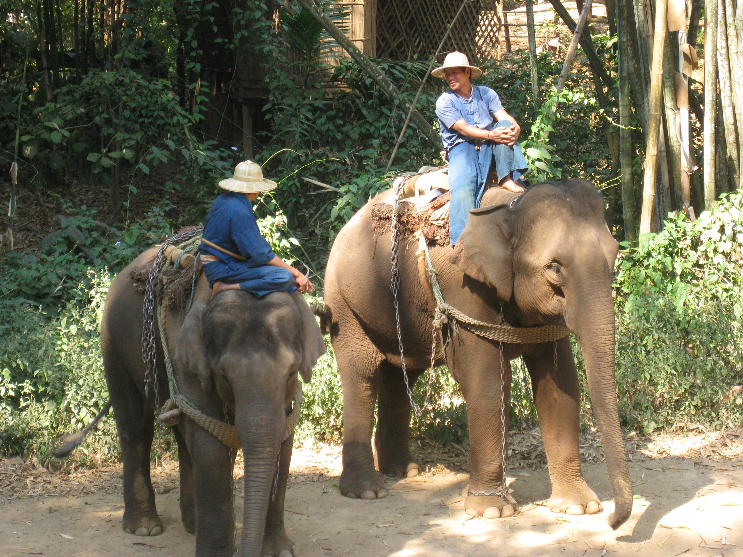 Burma 2014 198.jpeg
