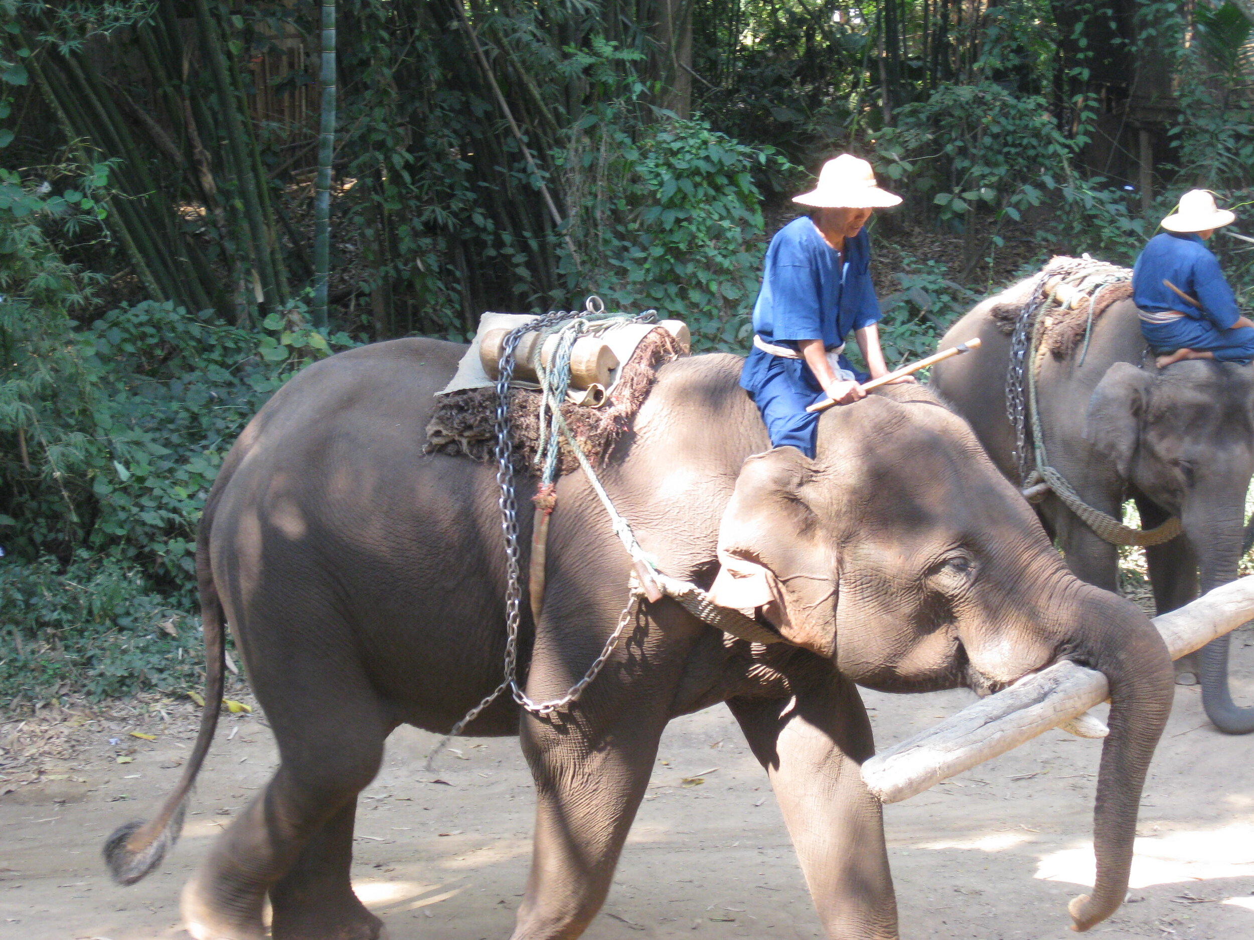Burma 2014 199.jpeg