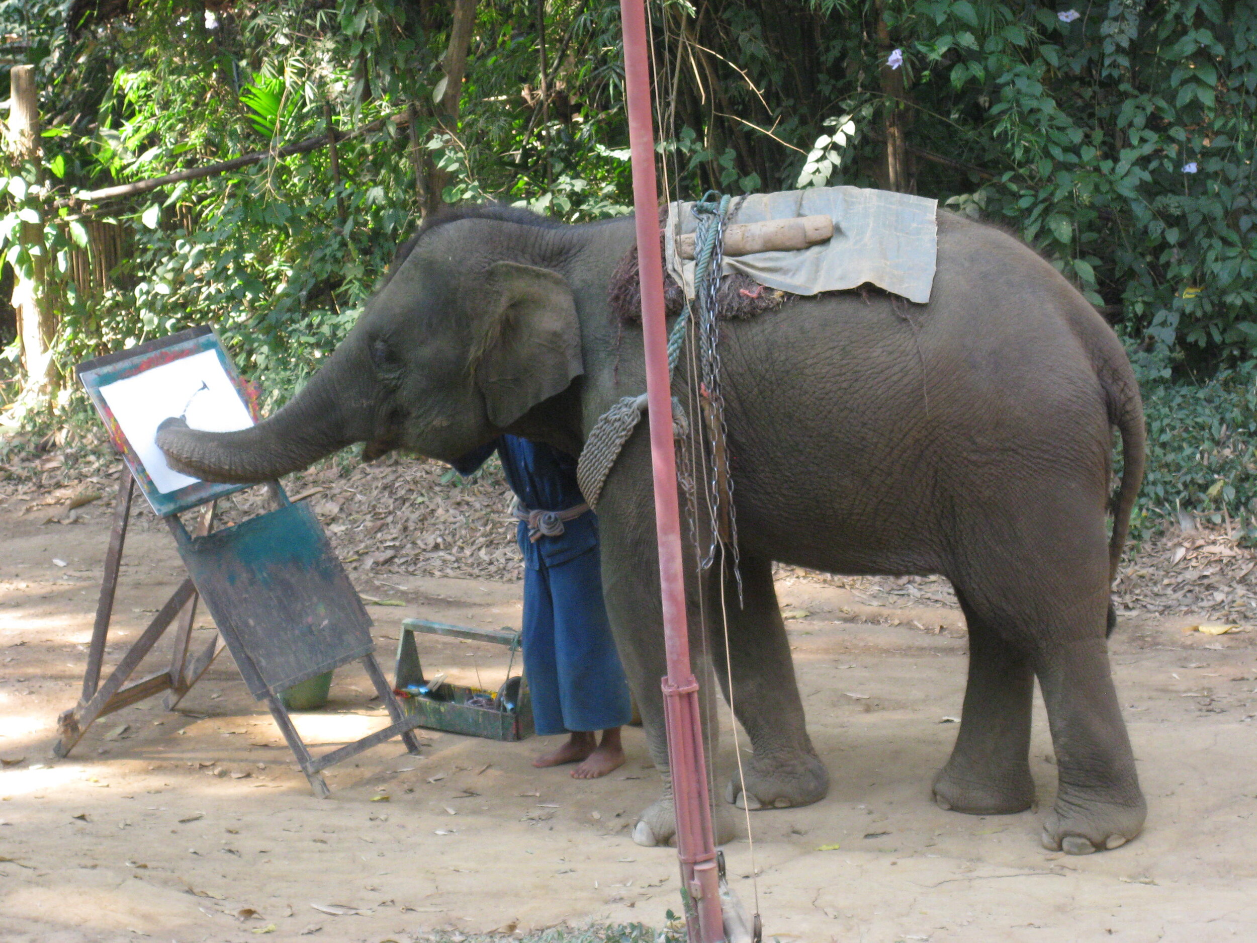 Burma 2014 204.jpeg