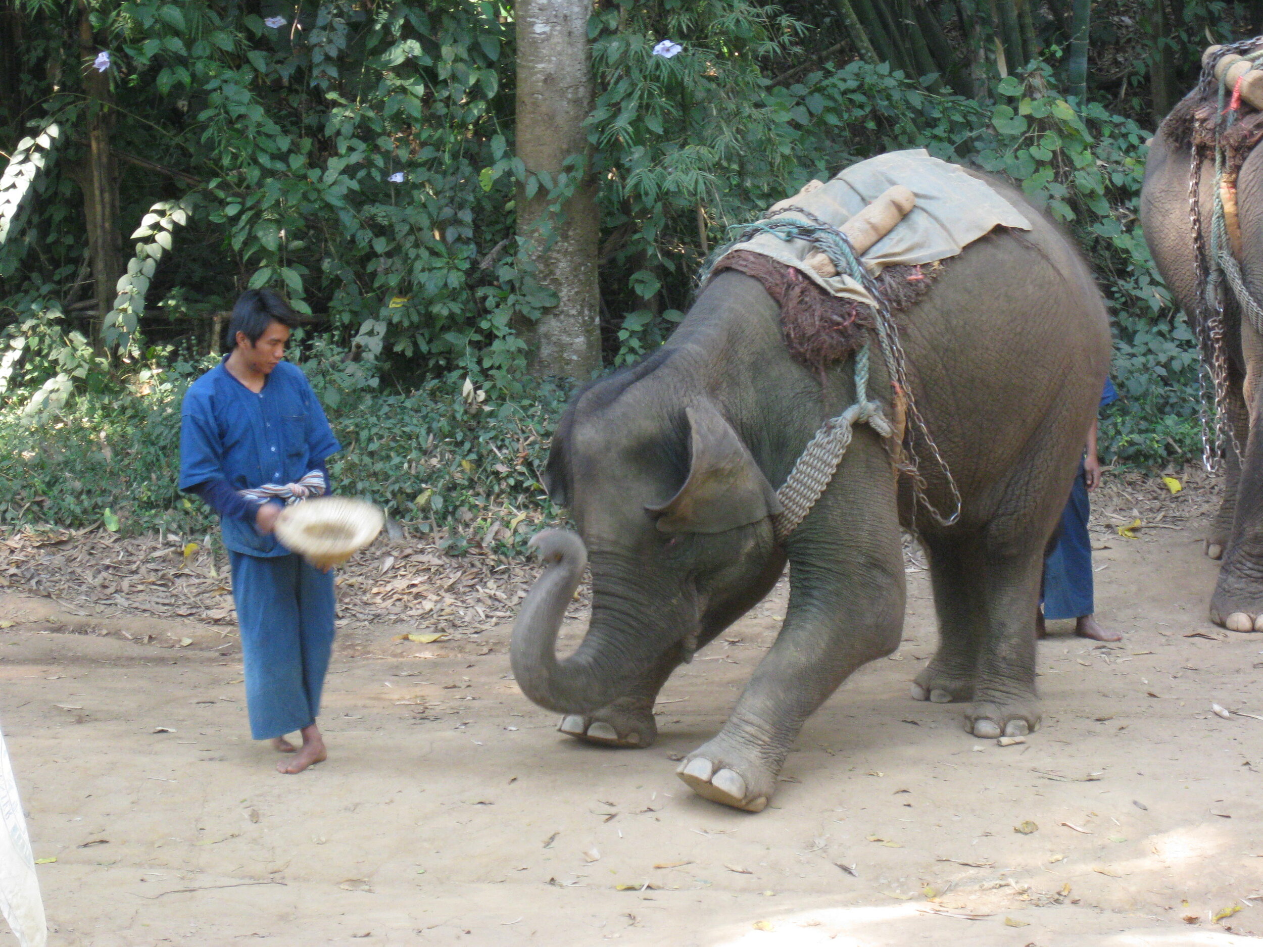 Burma 2014 207.jpeg