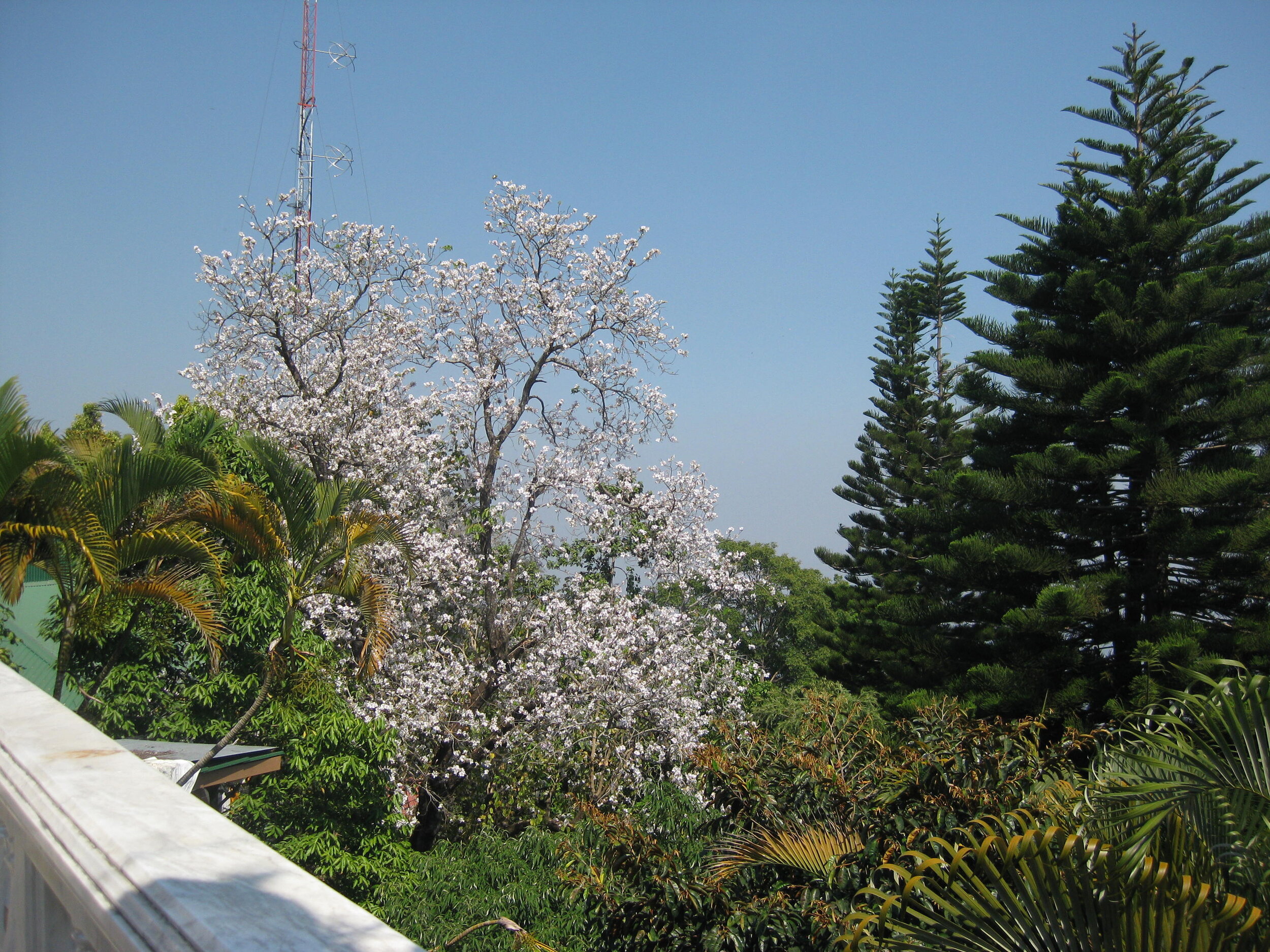 Burma 2014 229.jpeg