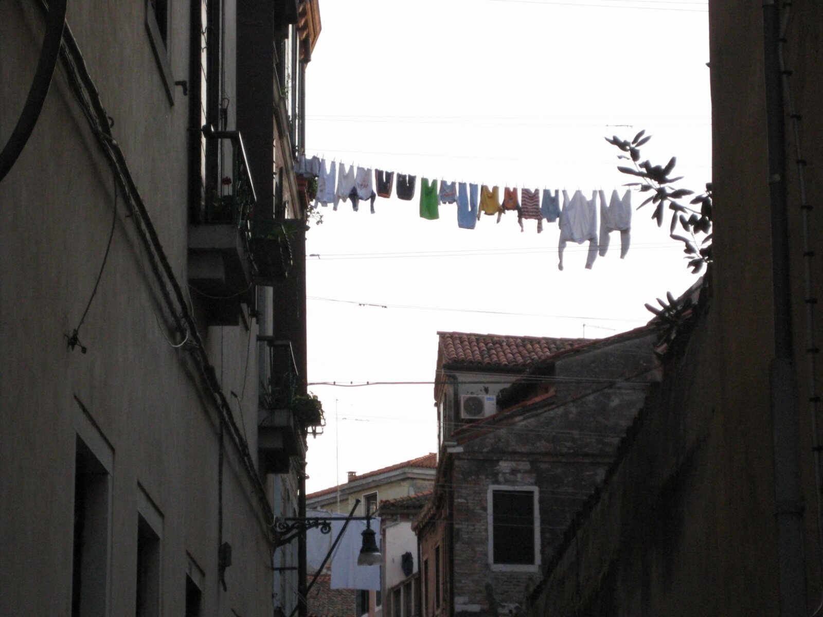 IMG_0604.jpeg