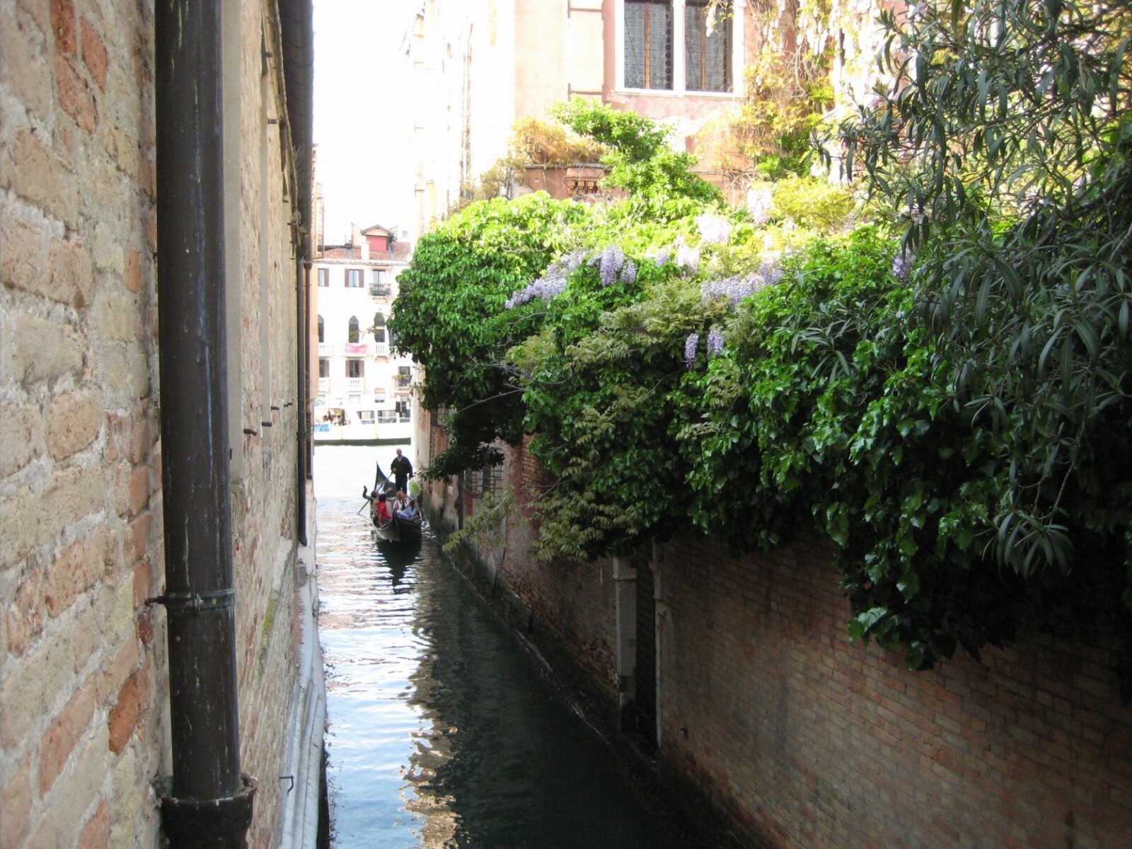 IMG_0638.jpeg