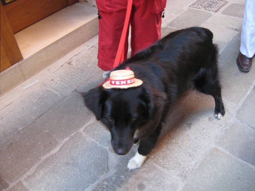 IMG_0649.jpeg