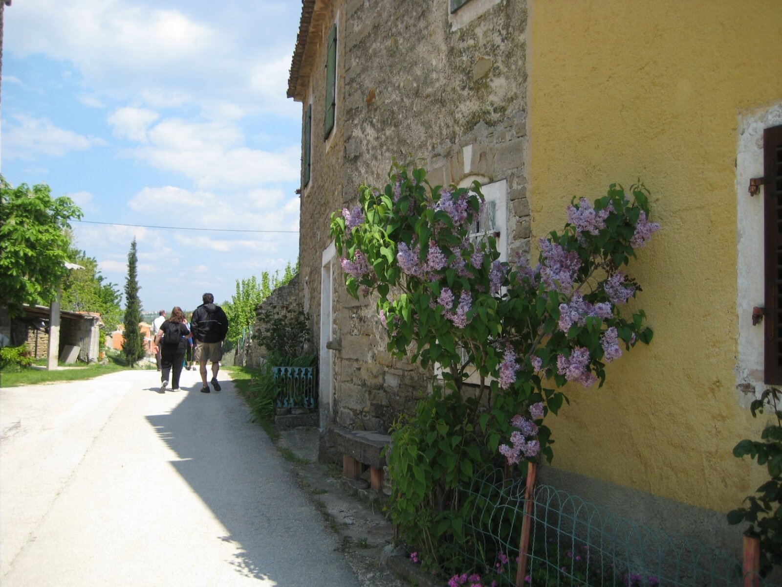 IMG_0672.jpeg