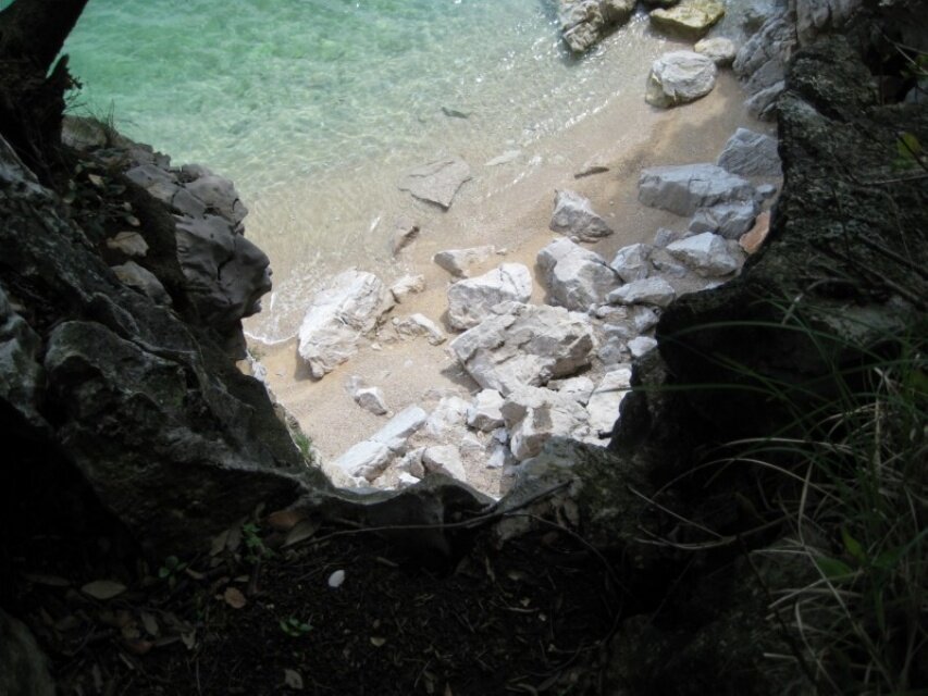 IMG_0812.jpeg