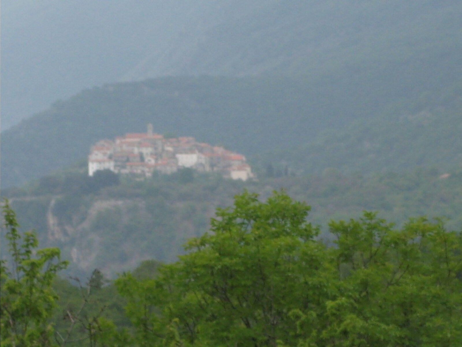 IMG_0855.jpeg