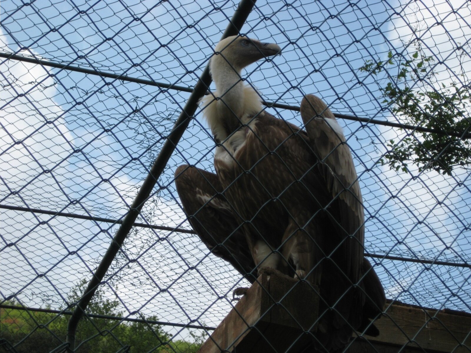 IMG_0865.jpeg