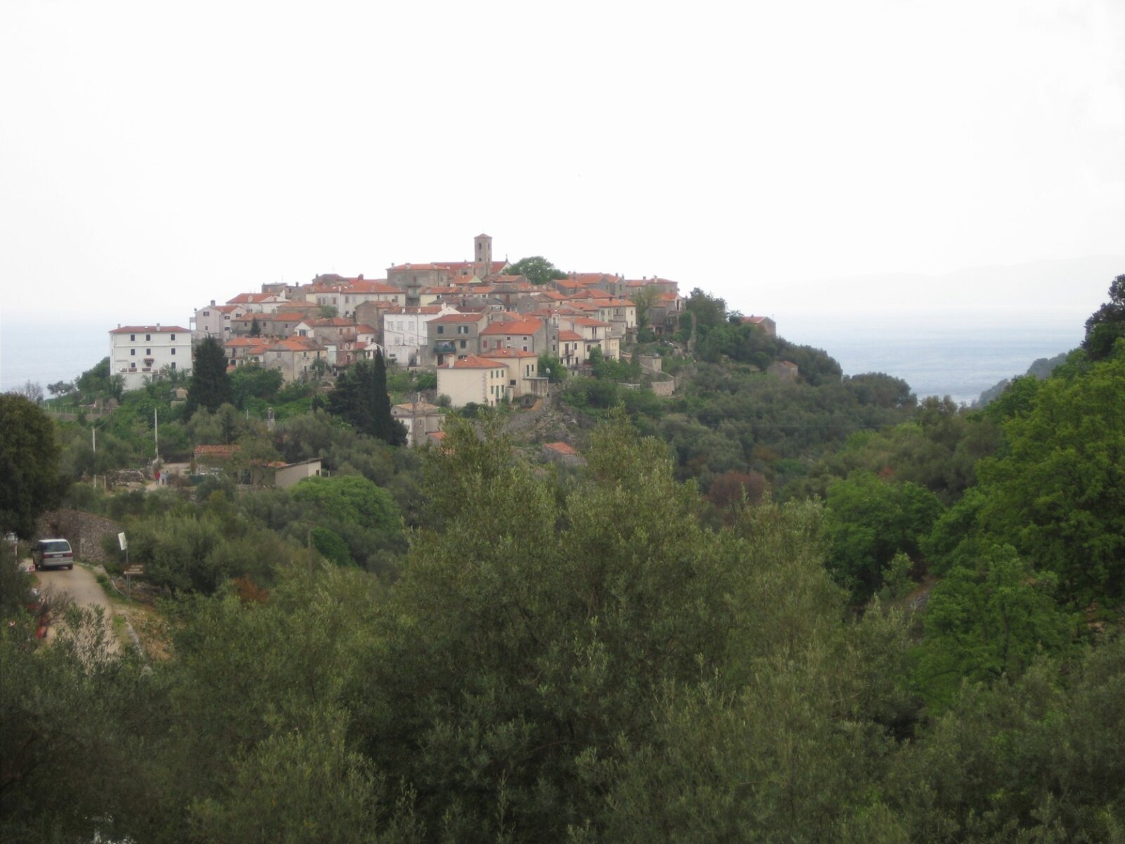 IMG_0868.jpeg
