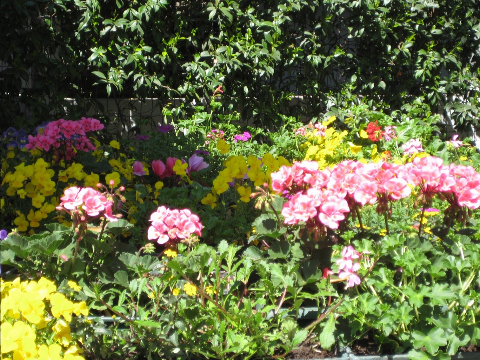 IMG_0873.jpeg
