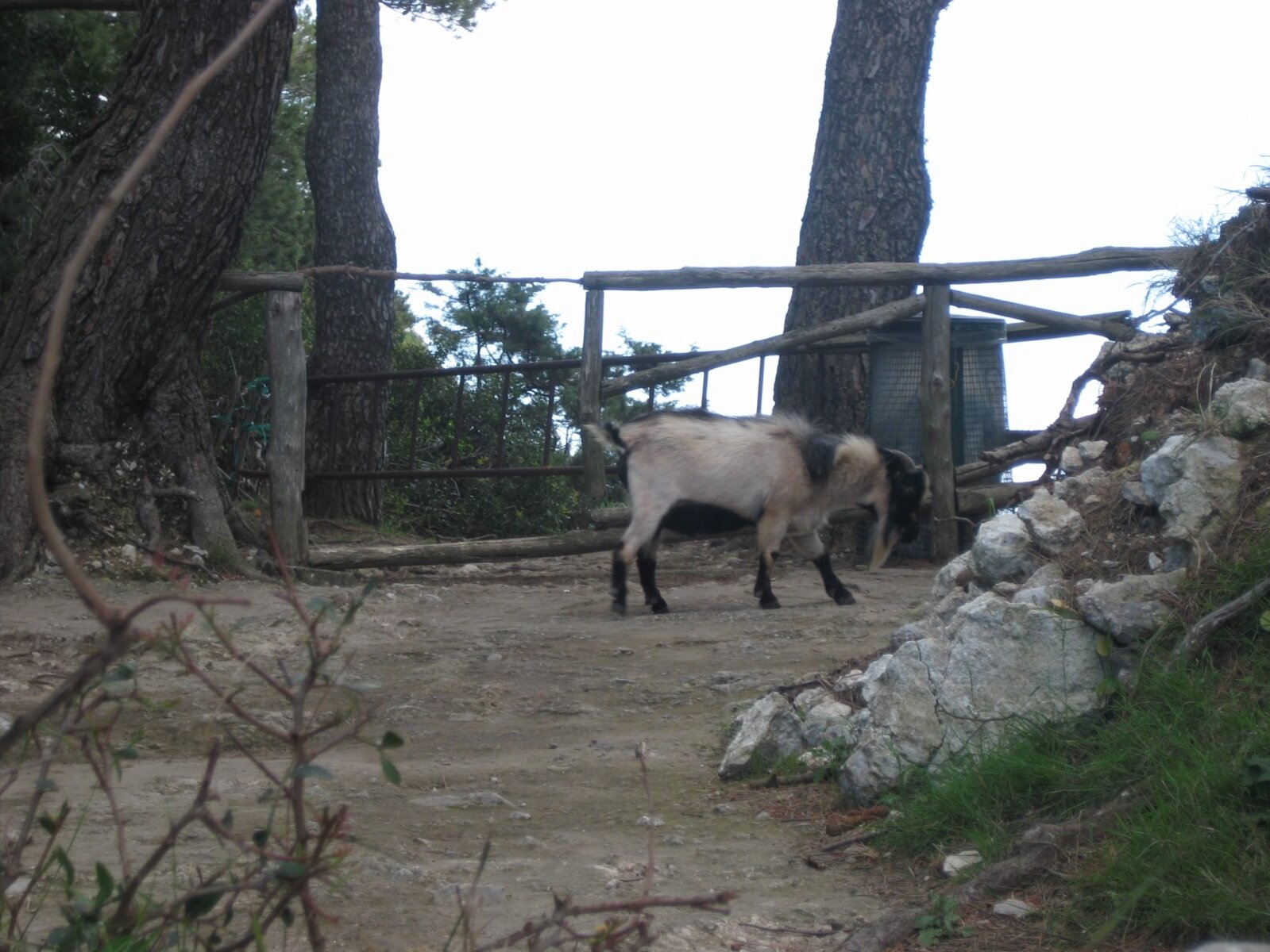 IMG_3441.jpeg