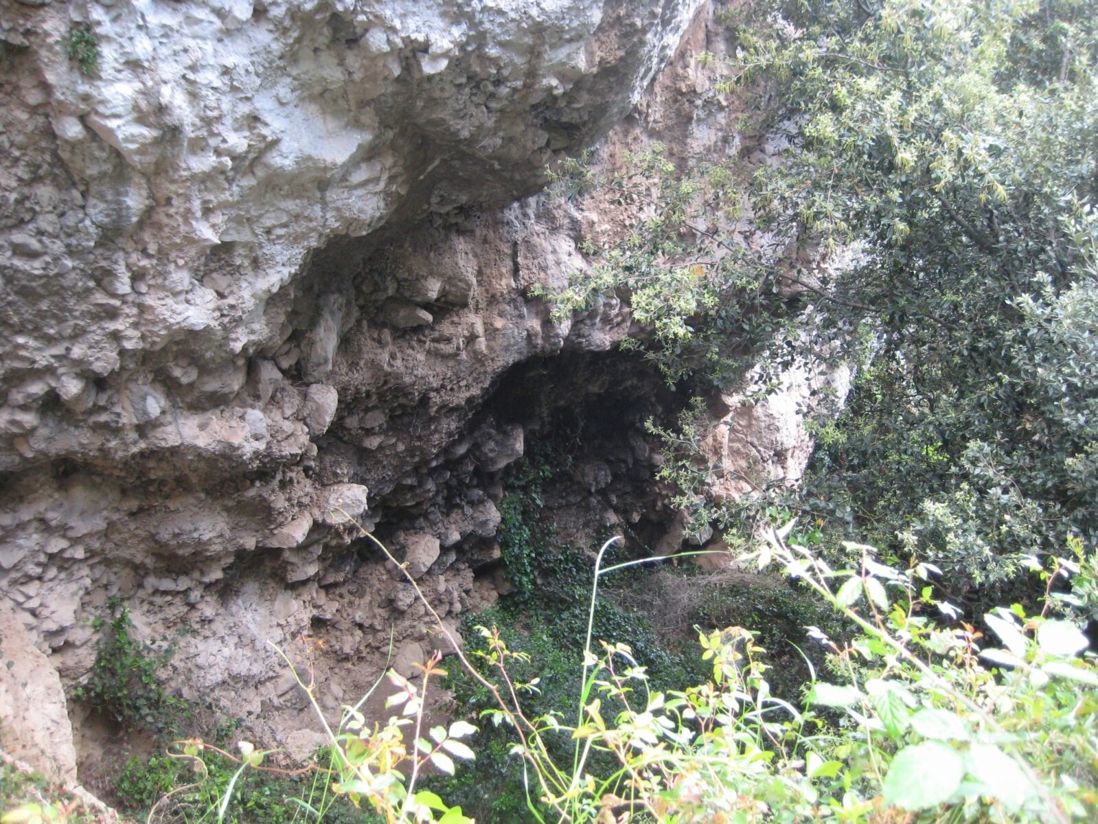 IMG_3452.jpeg