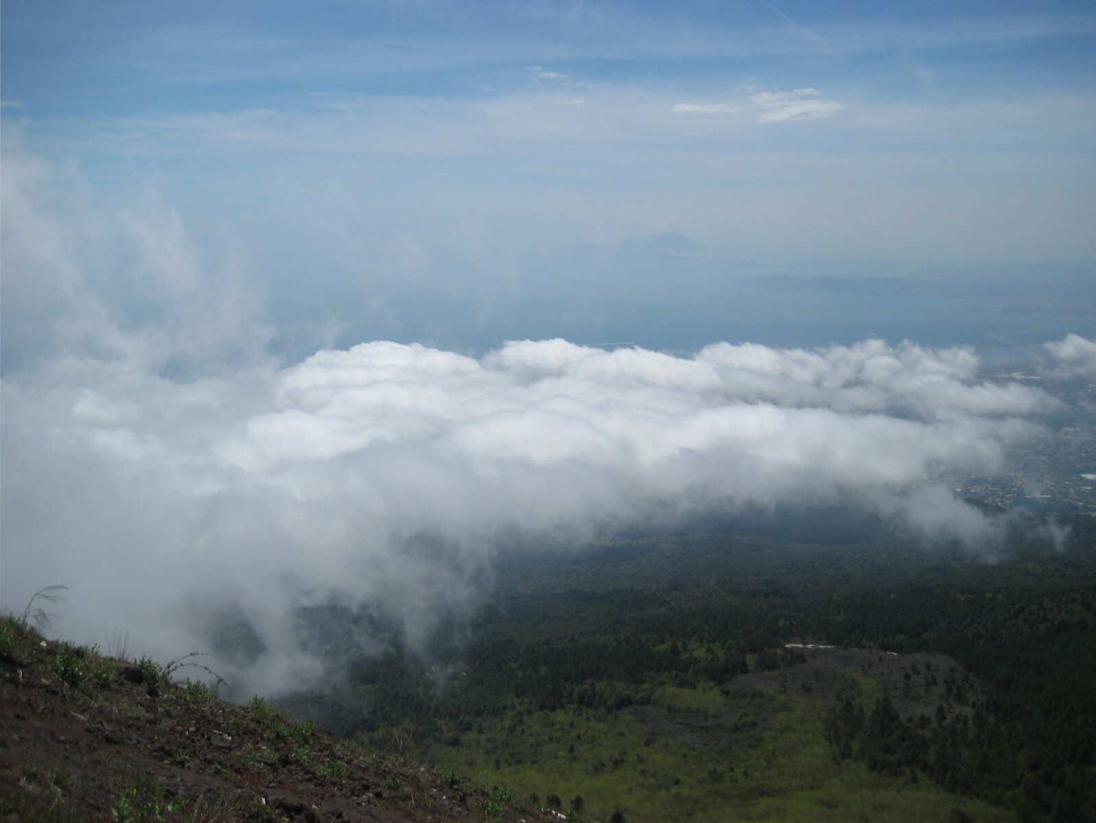 IMG_3476.jpeg