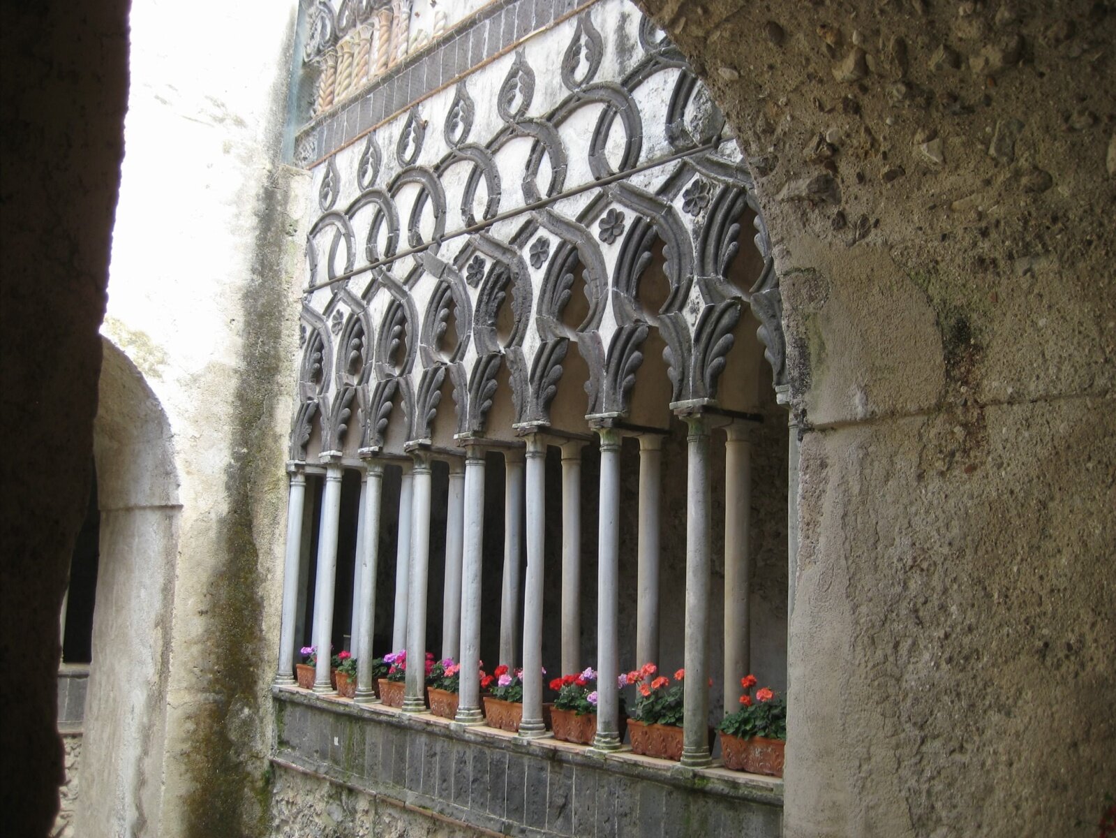 IMG_3524.jpeg