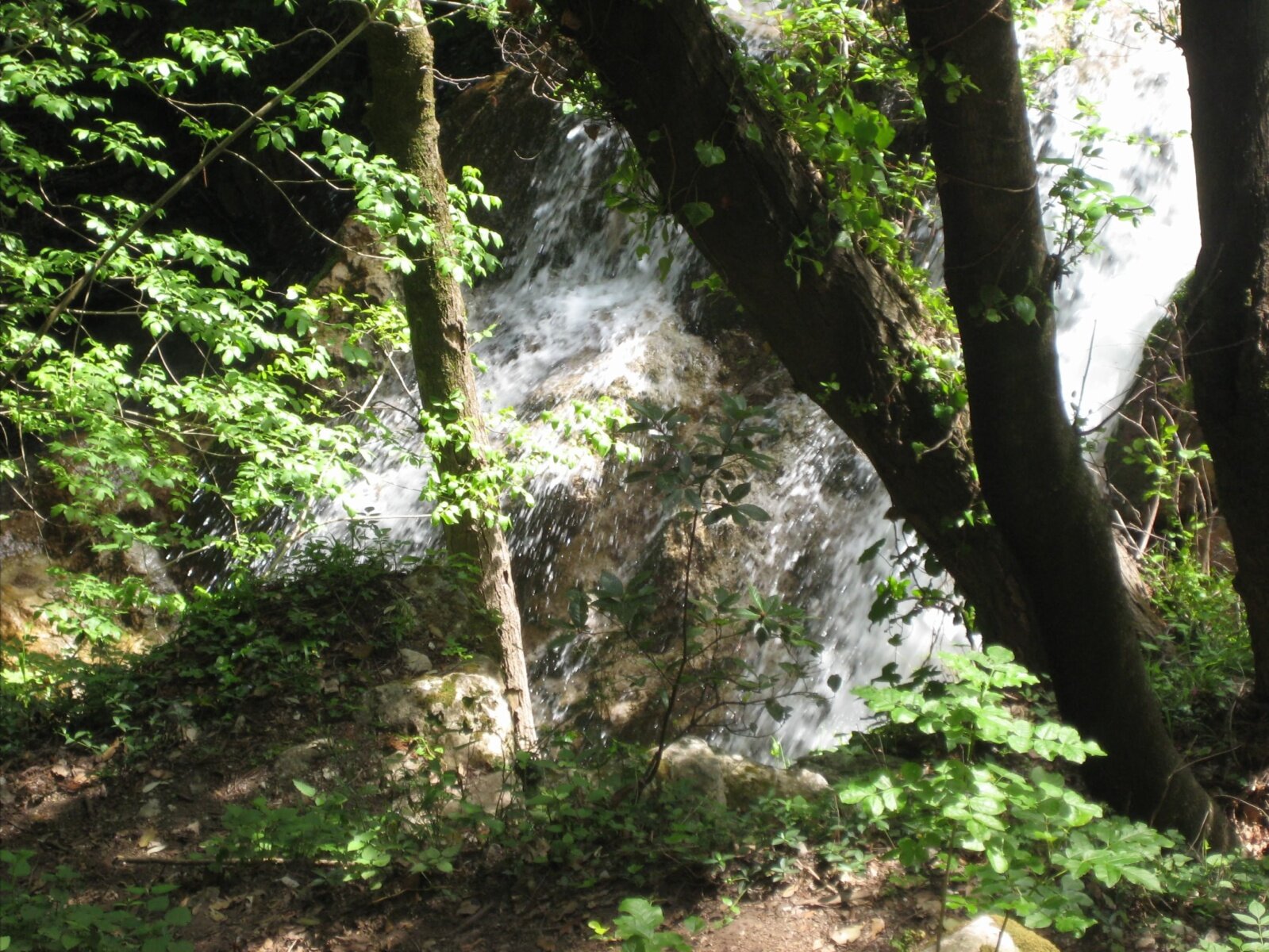 IMG_3554.jpeg