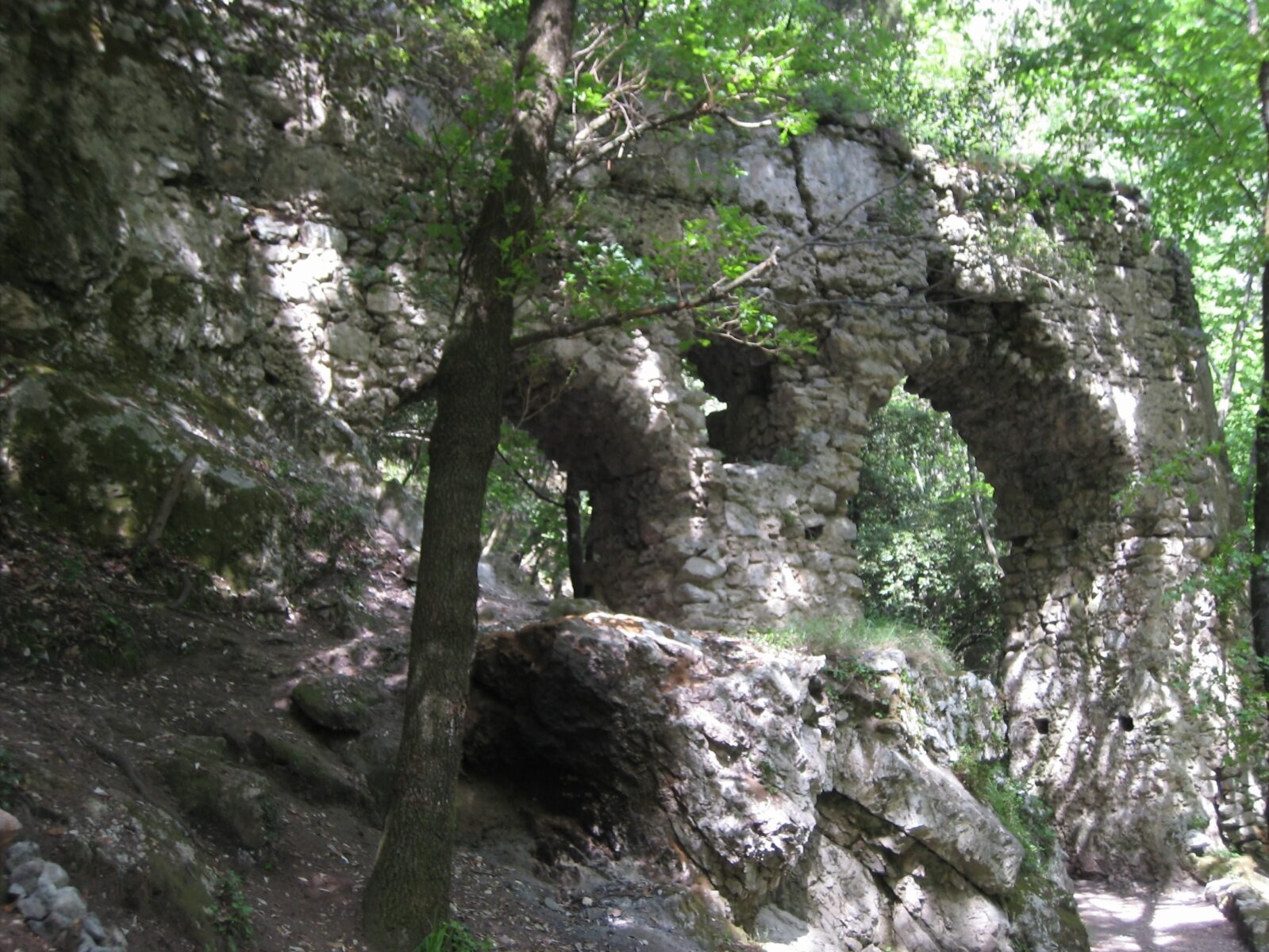 IMG_3559.jpeg