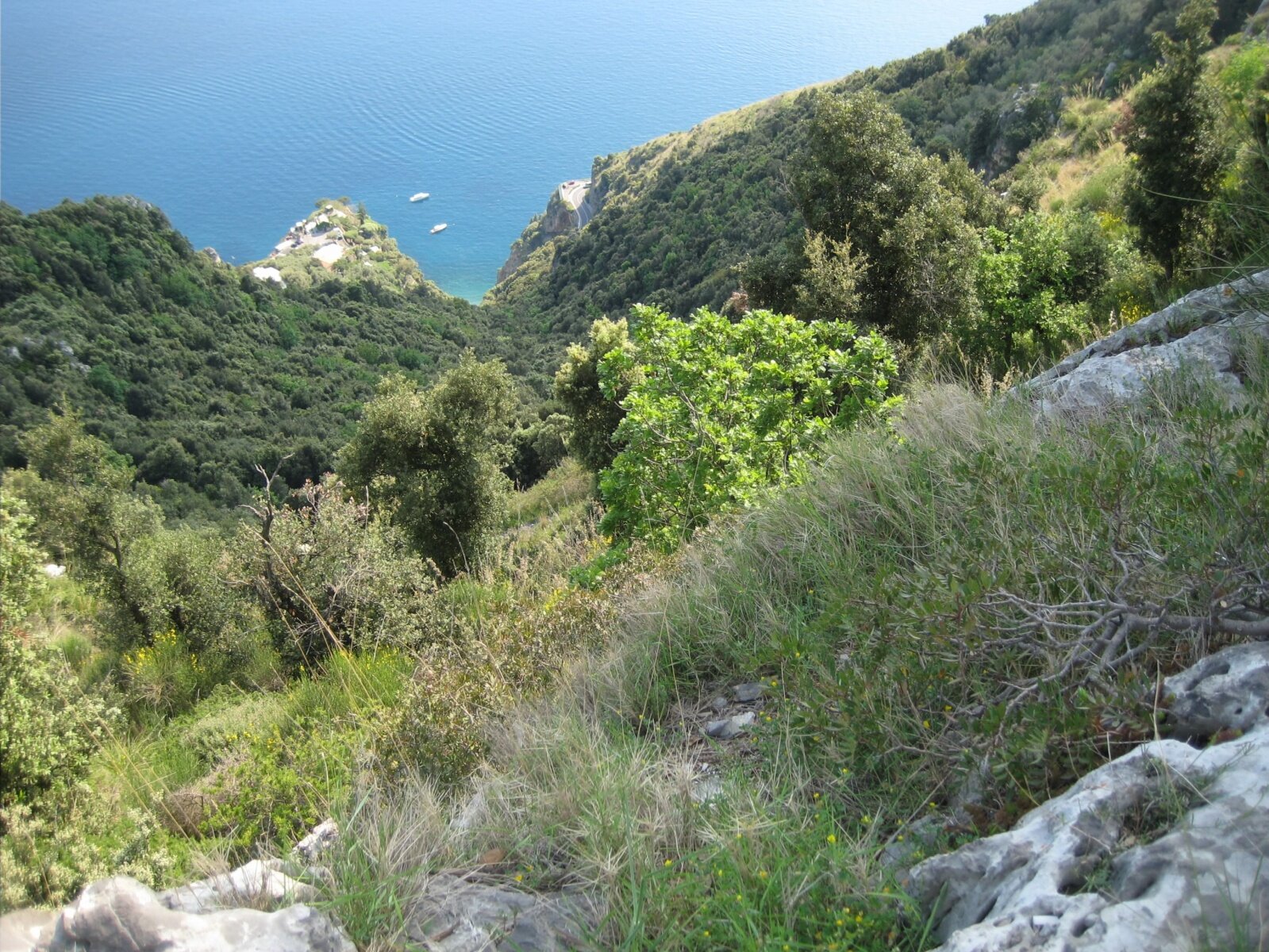 IMG_3611.jpeg