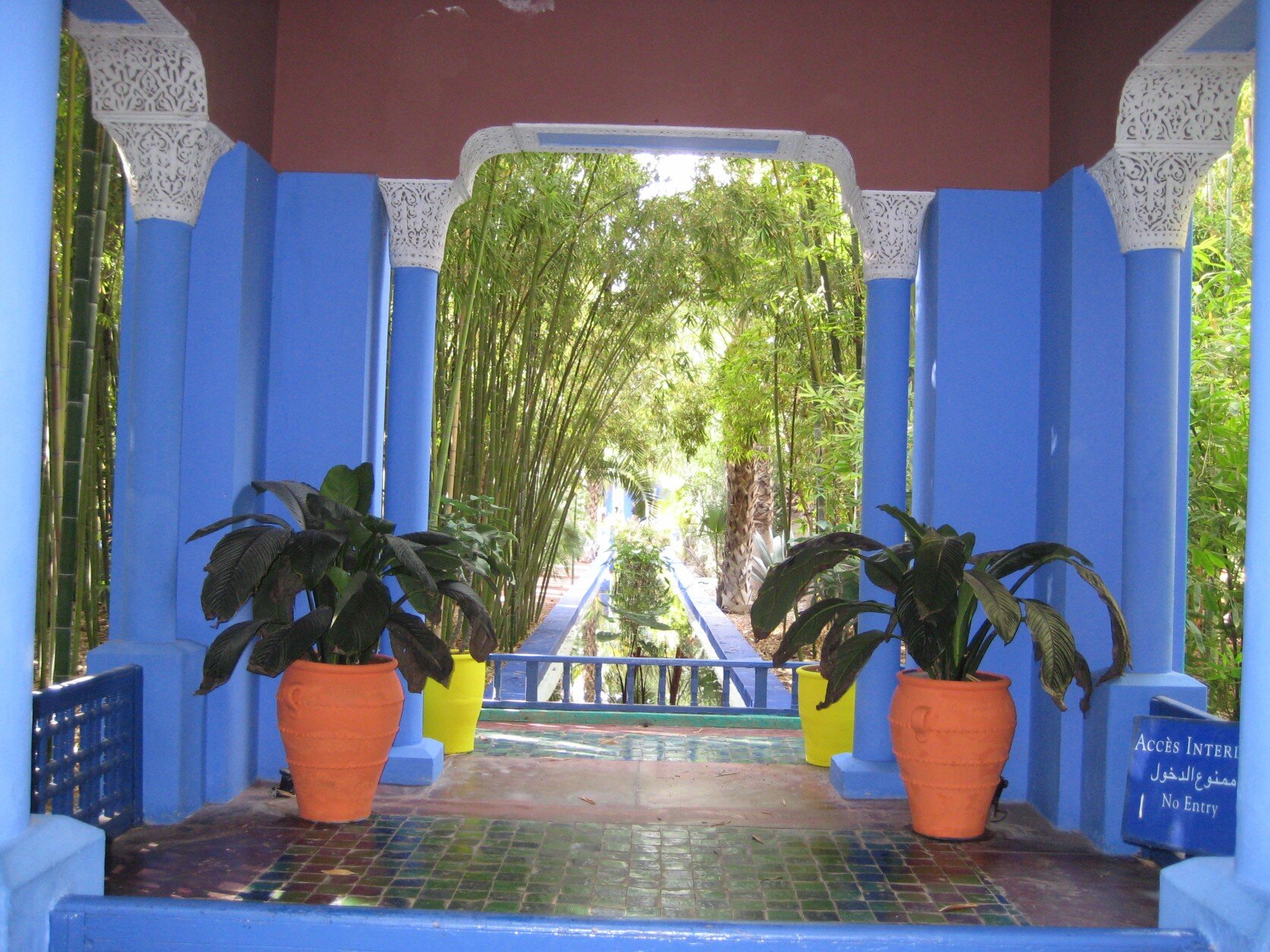 IMG_1495.jpeg