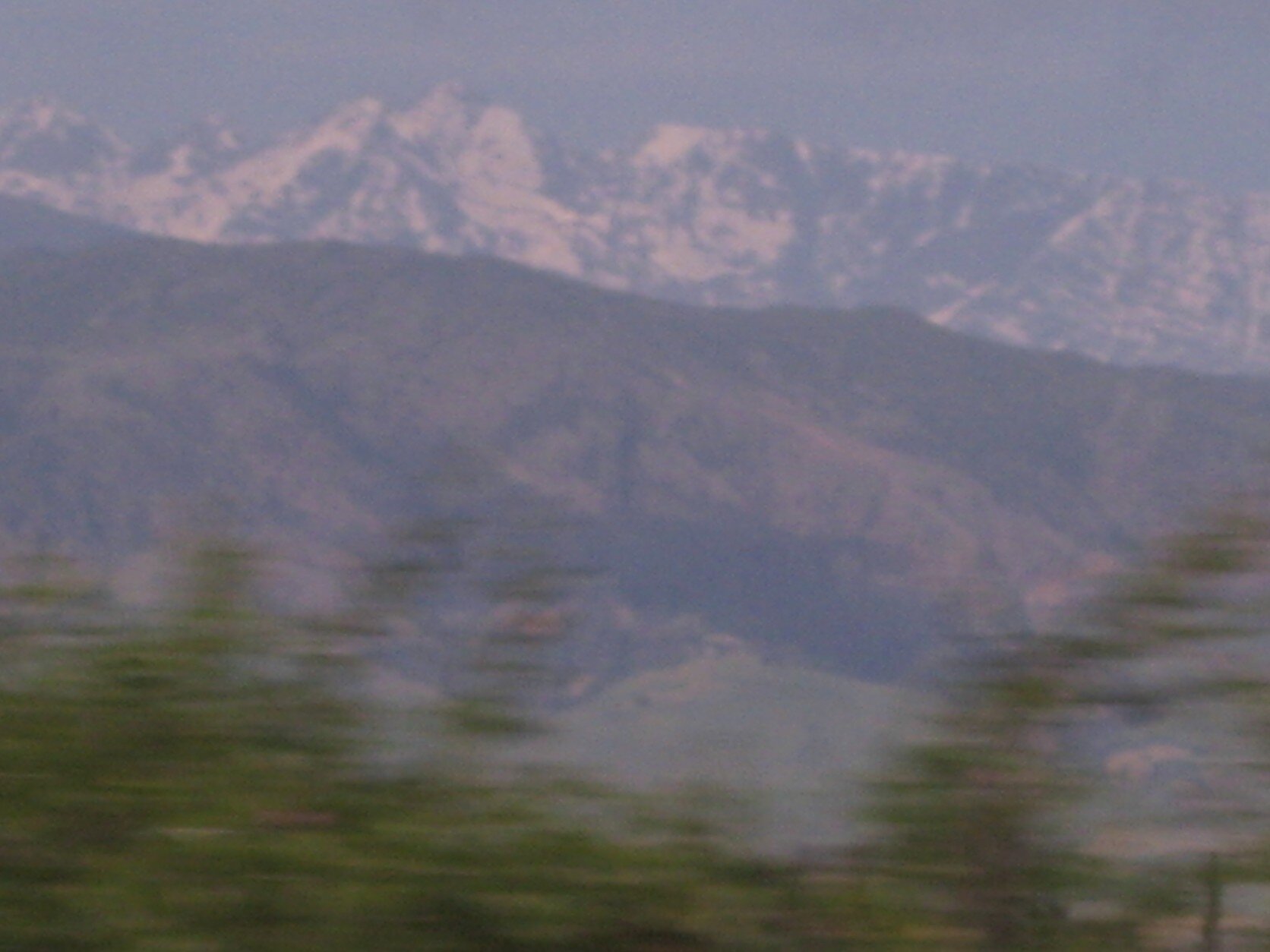 IMG_1626.jpeg