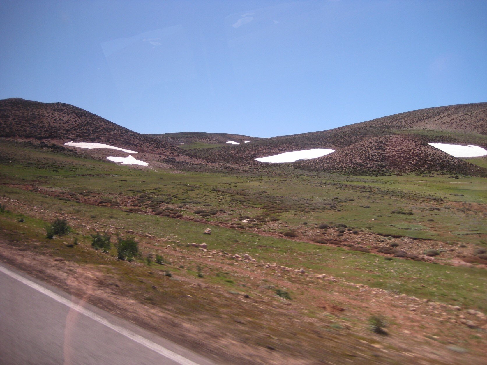 IMG_1978.jpeg