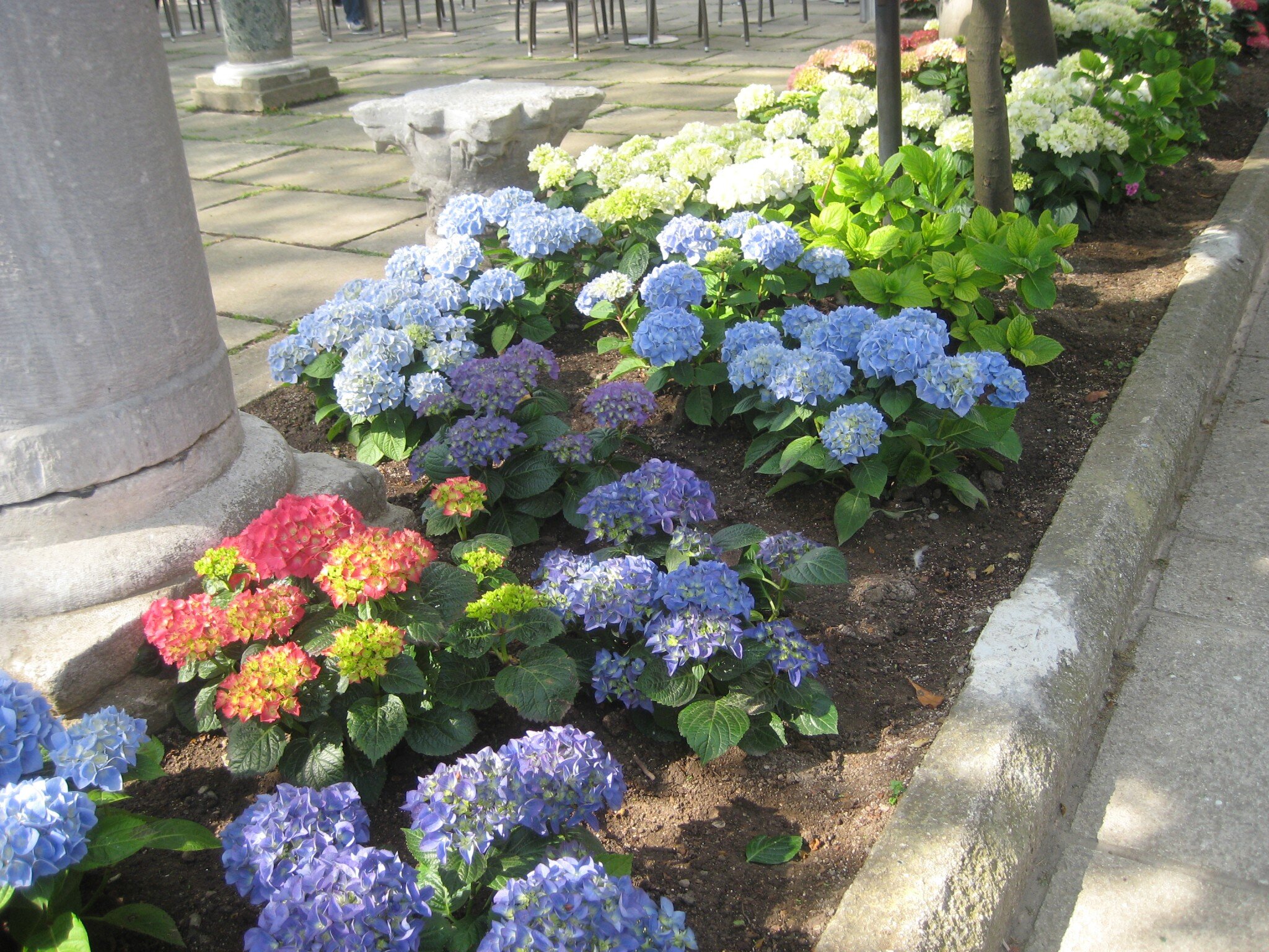 IMG_2502.jpeg
