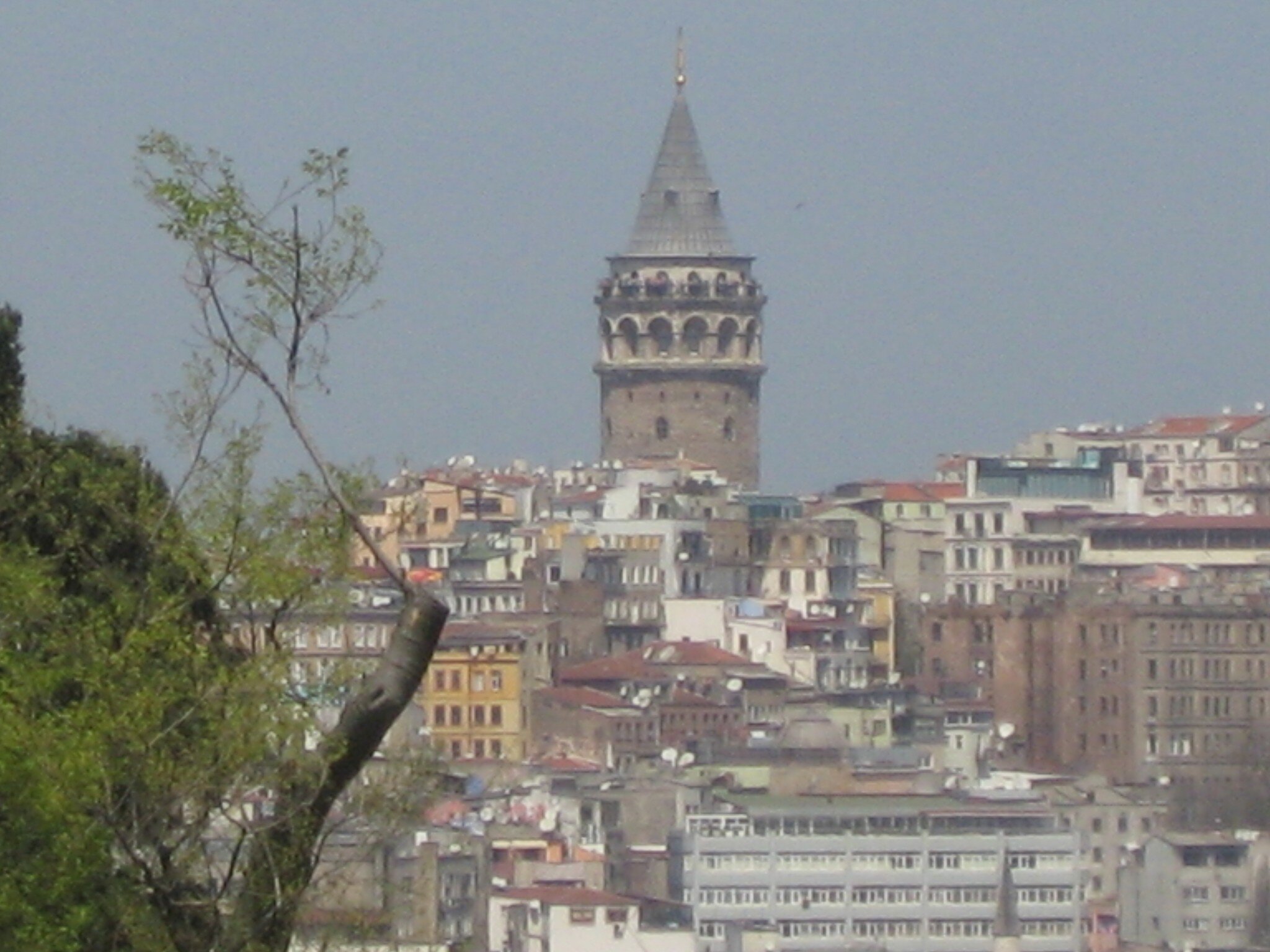 IMG_2539.jpeg