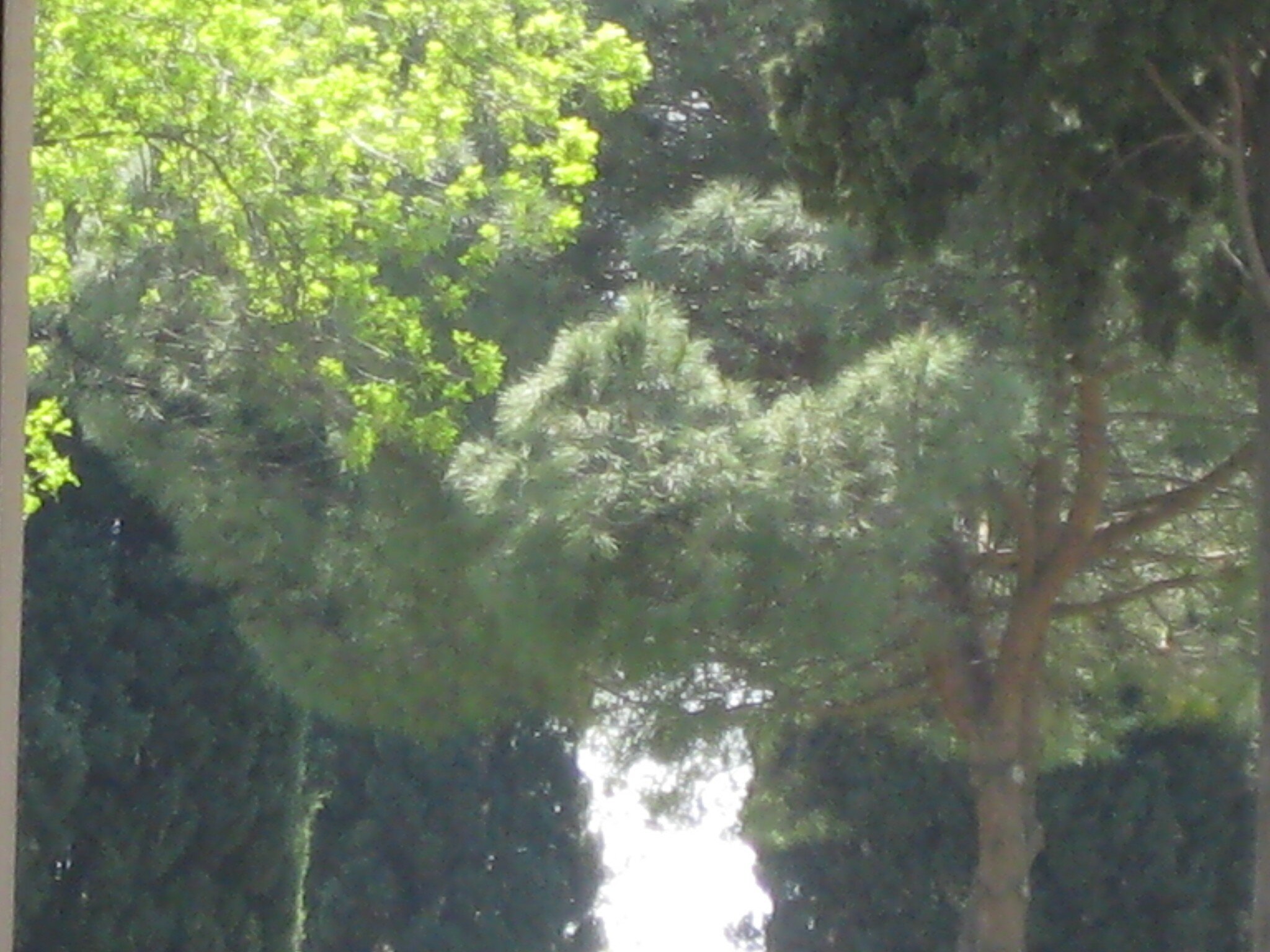 IMG_2552.jpeg