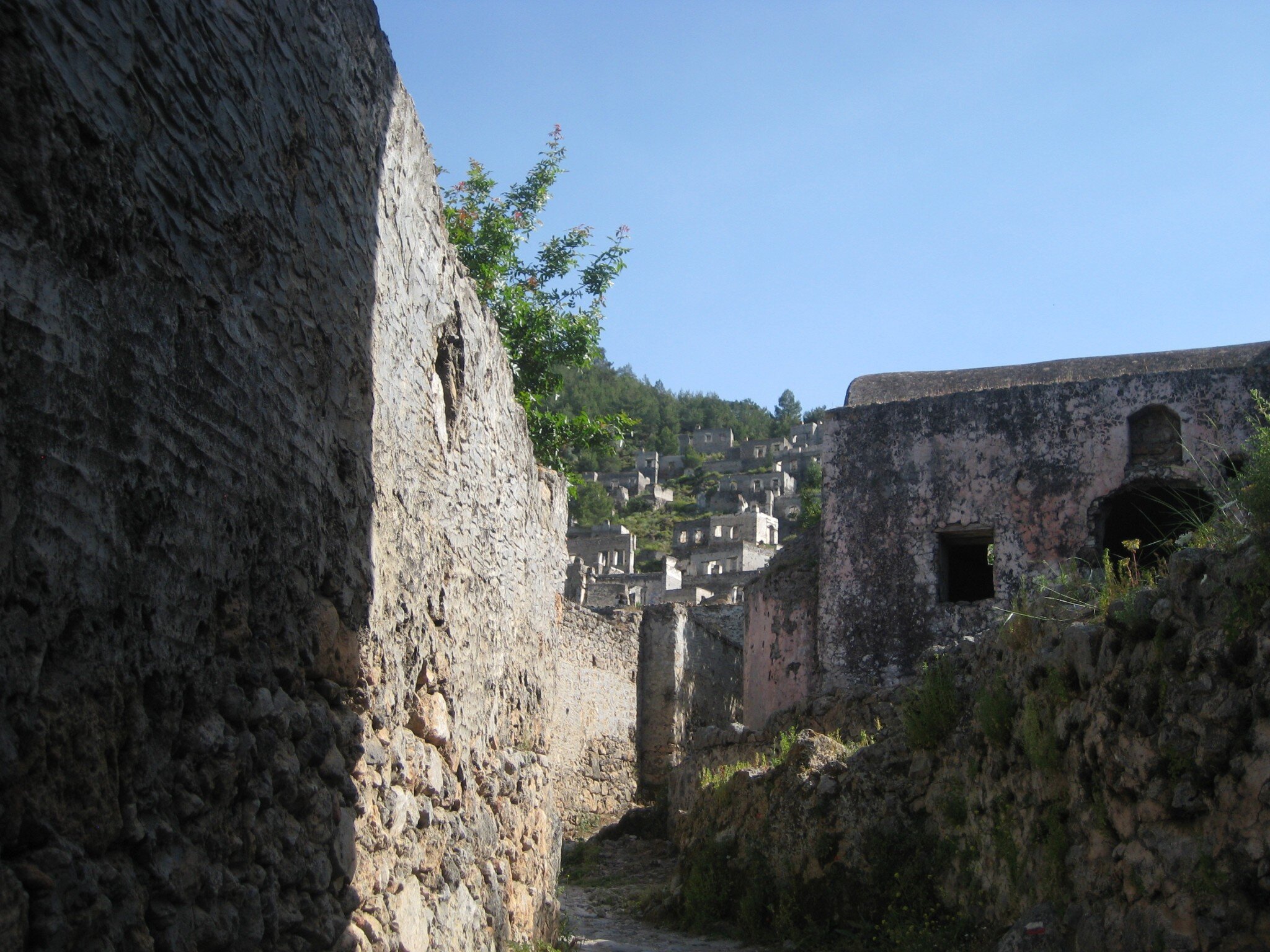 IMG_2592.jpeg
