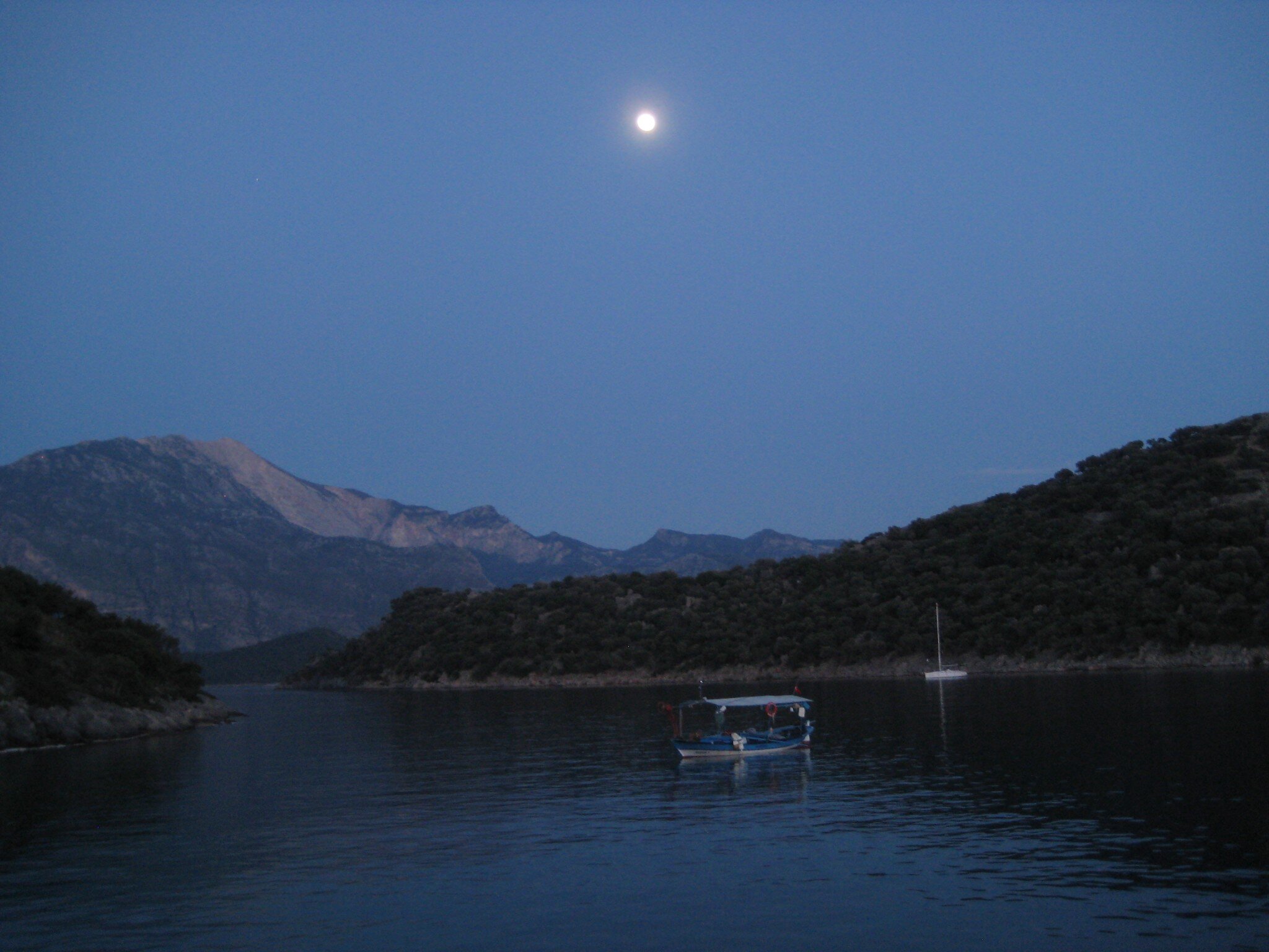 IMG_2615.jpeg