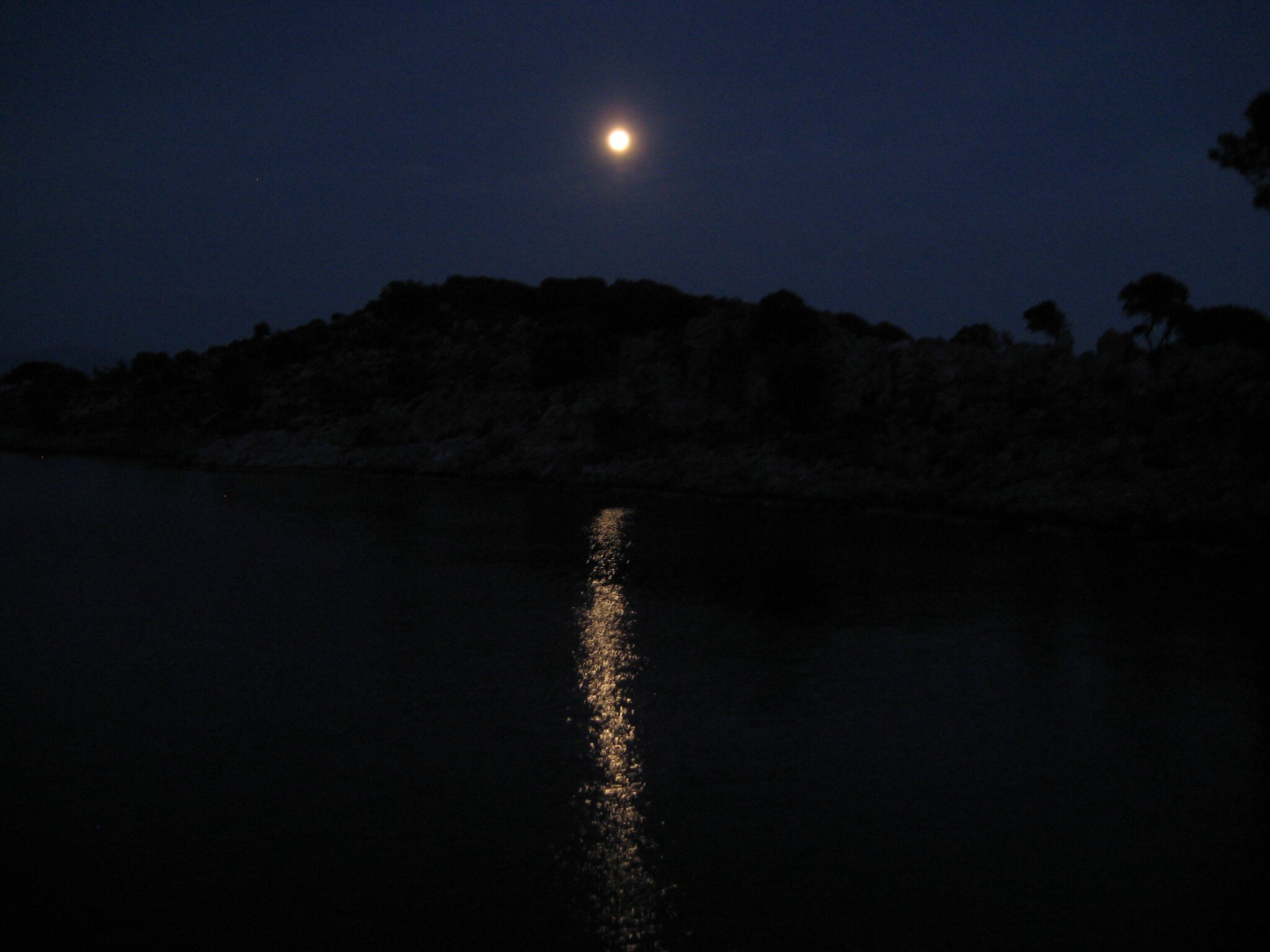 IMG_2654.jpeg