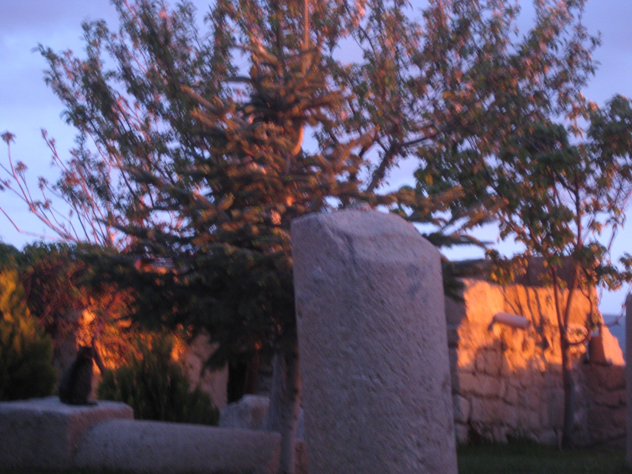 IMG_2754.jpeg
