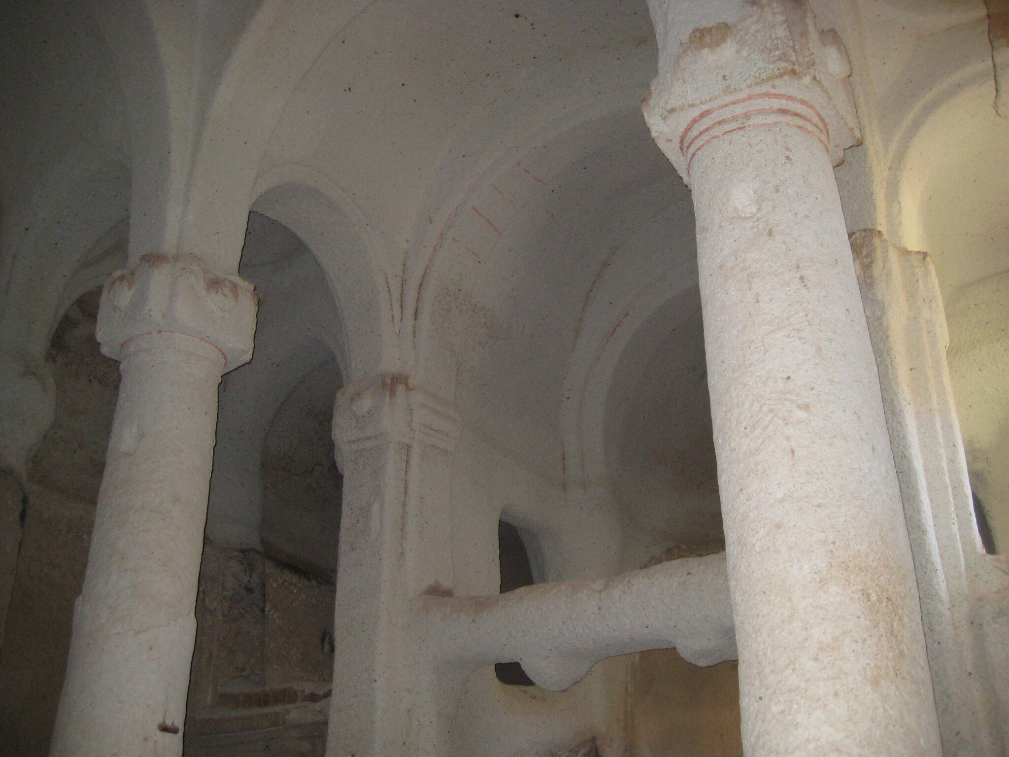 IMG_2941.jpeg