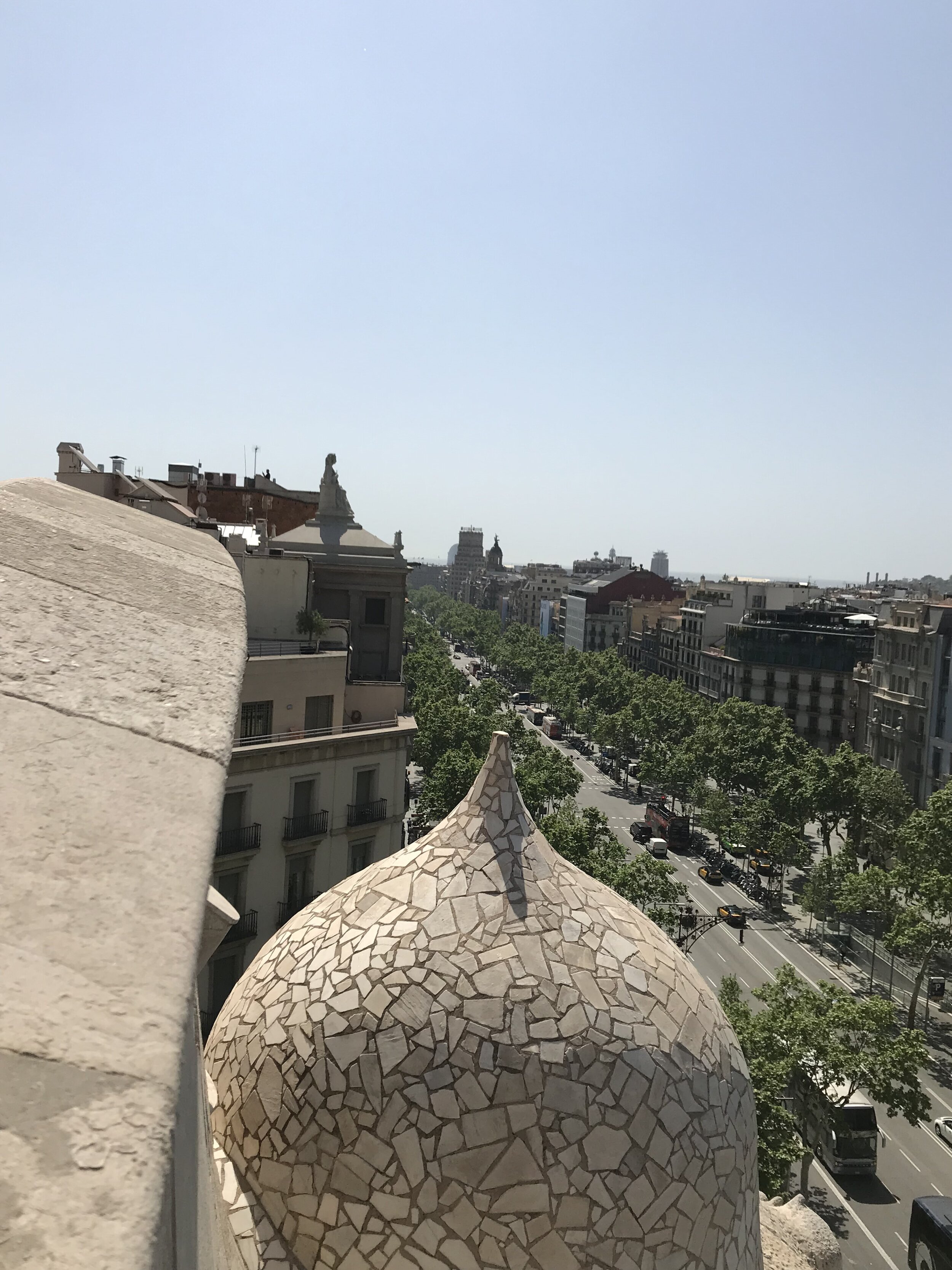 IMG_0560.jpeg