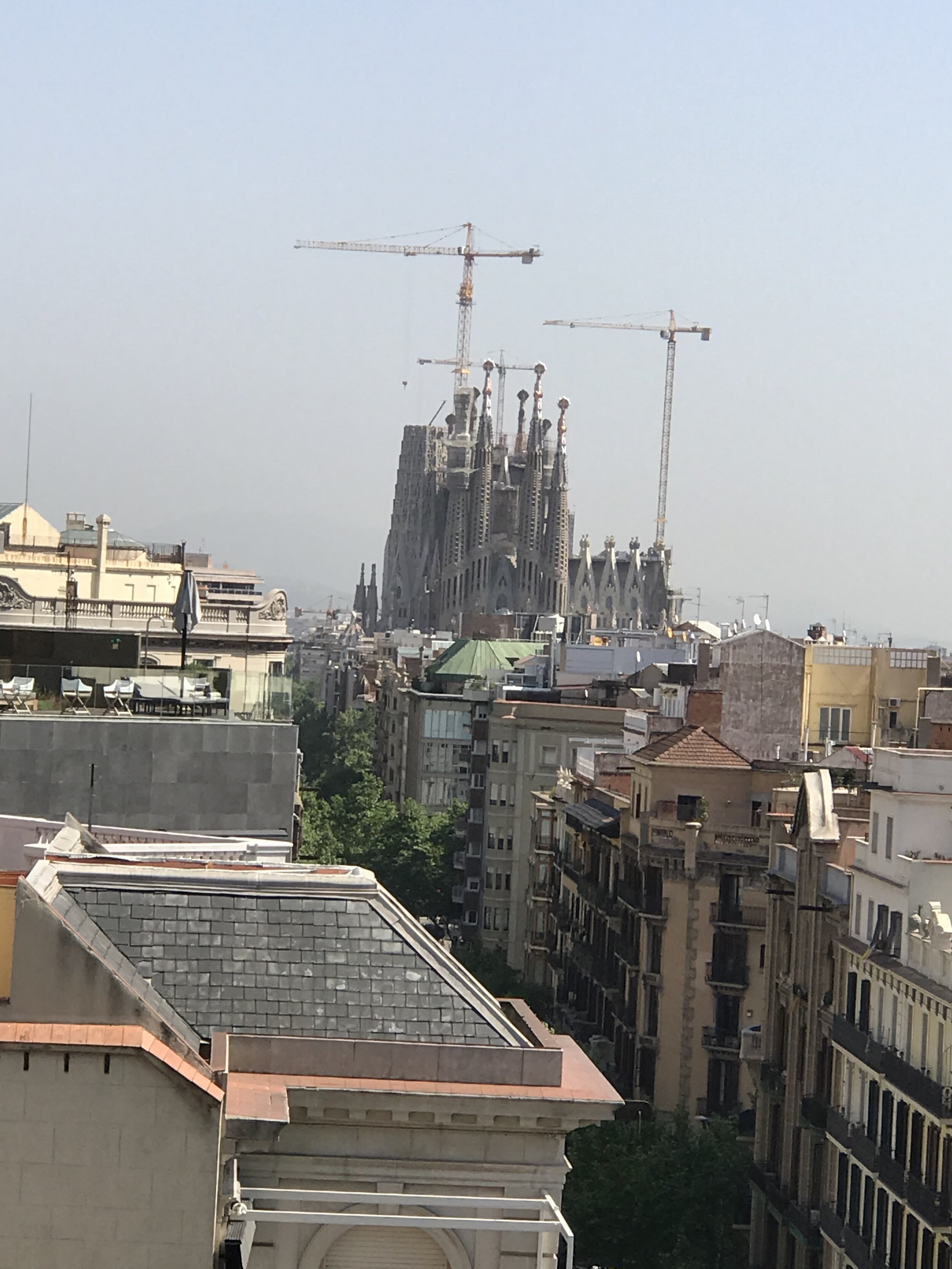 IMG_0561.jpeg