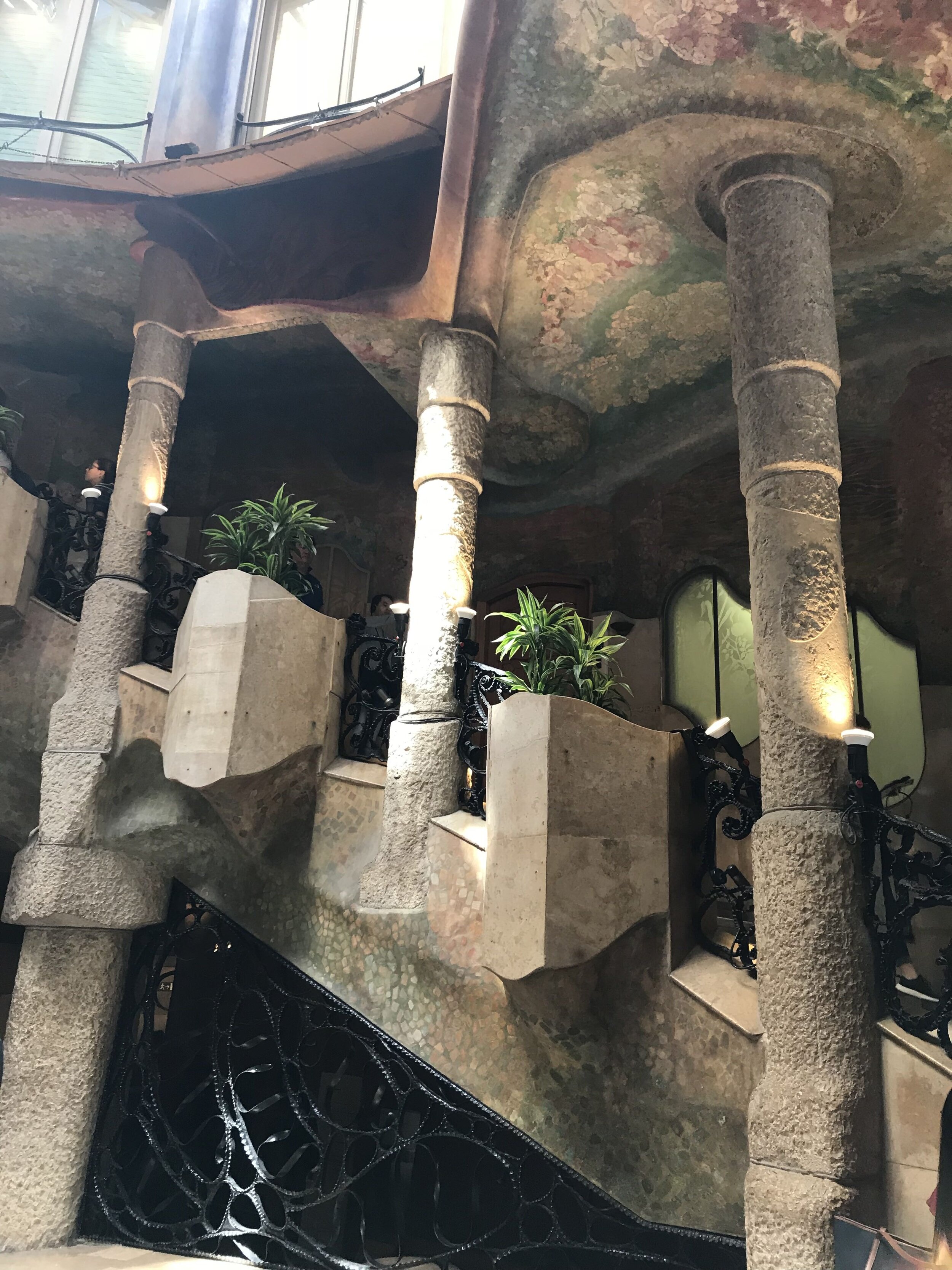 IMG_0567.jpeg
