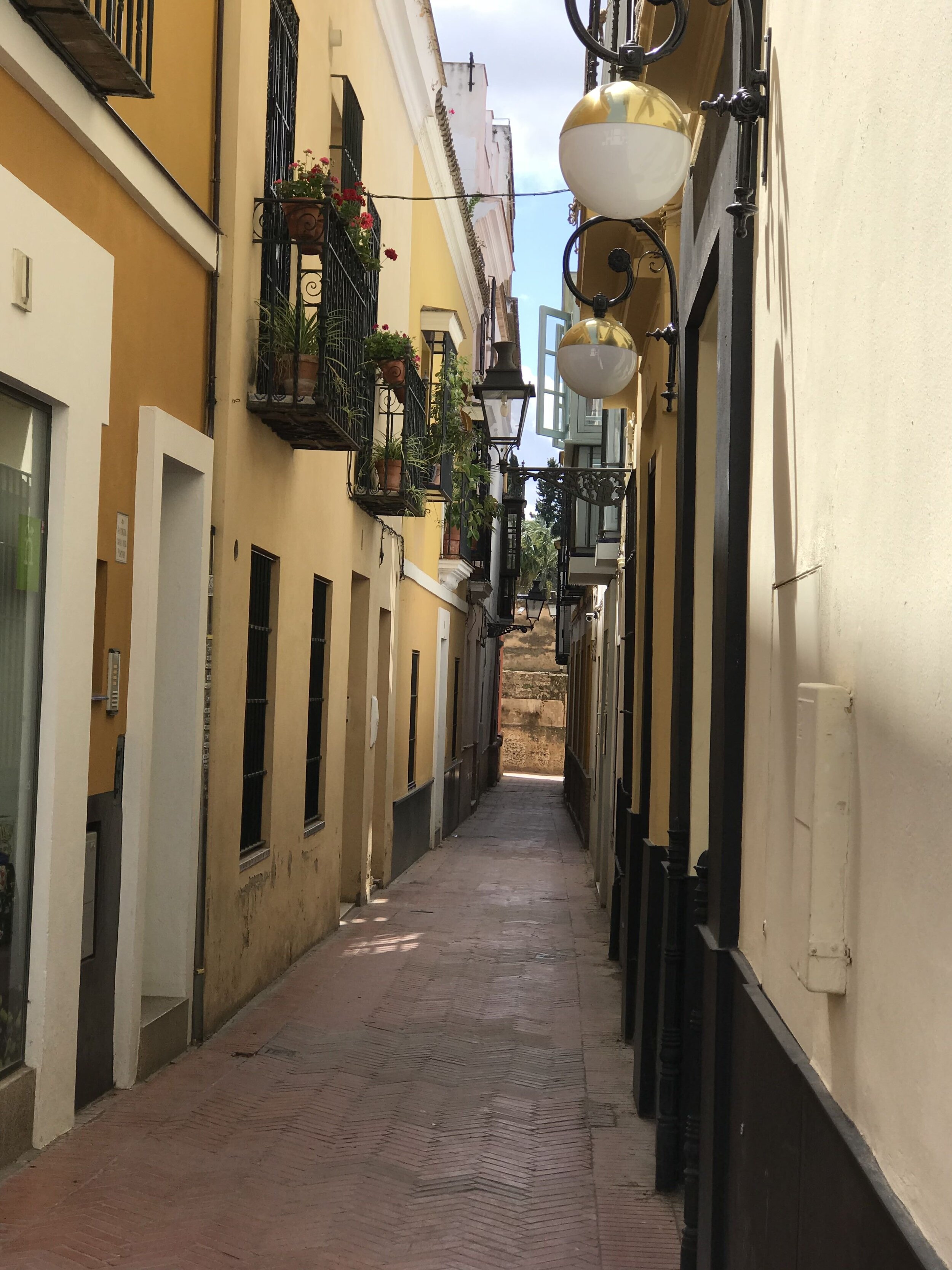 IMG_0628.jpeg