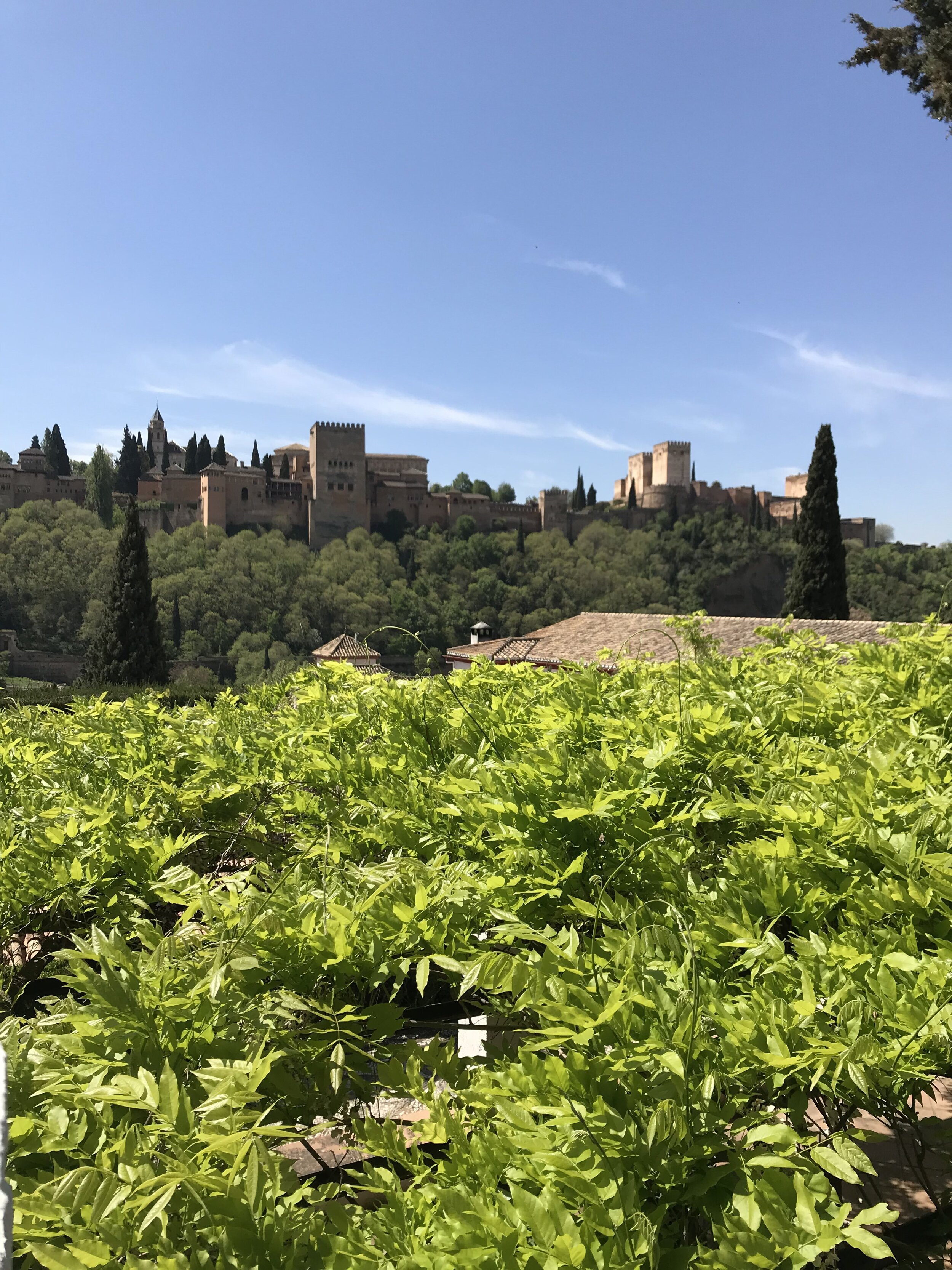 IMG_0750.jpeg