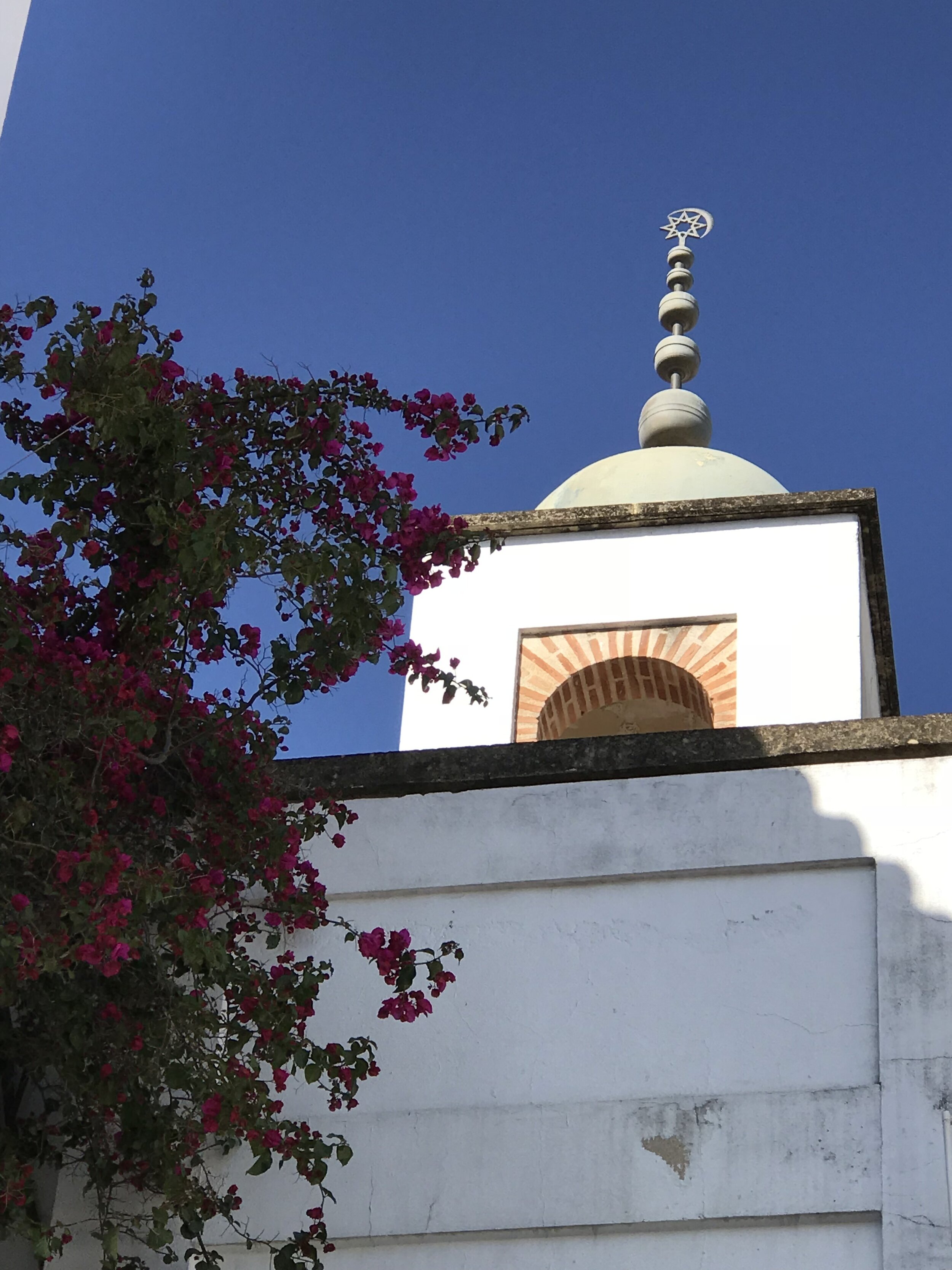 IMG_0892.jpeg