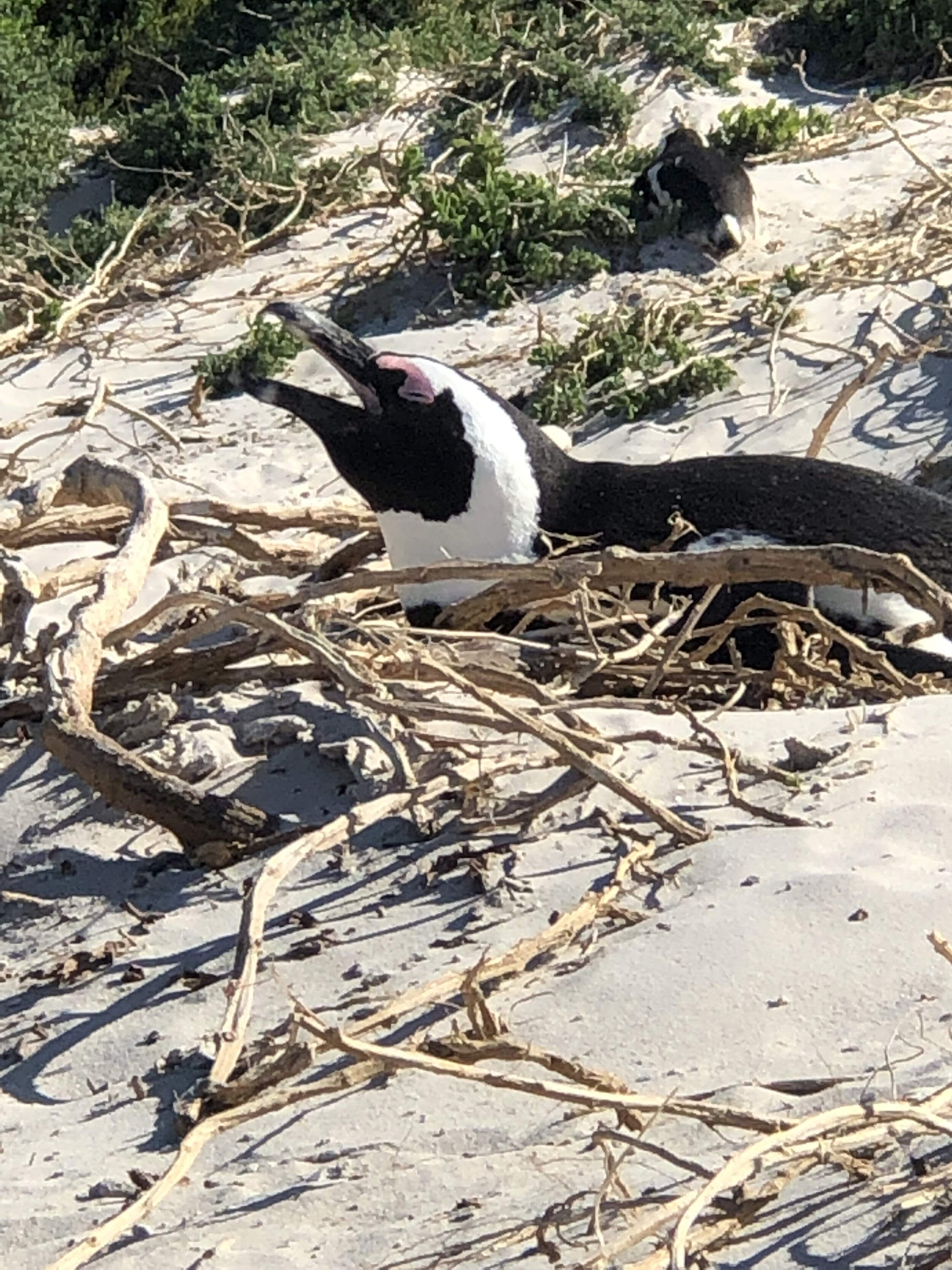IMG_0876.jpeg