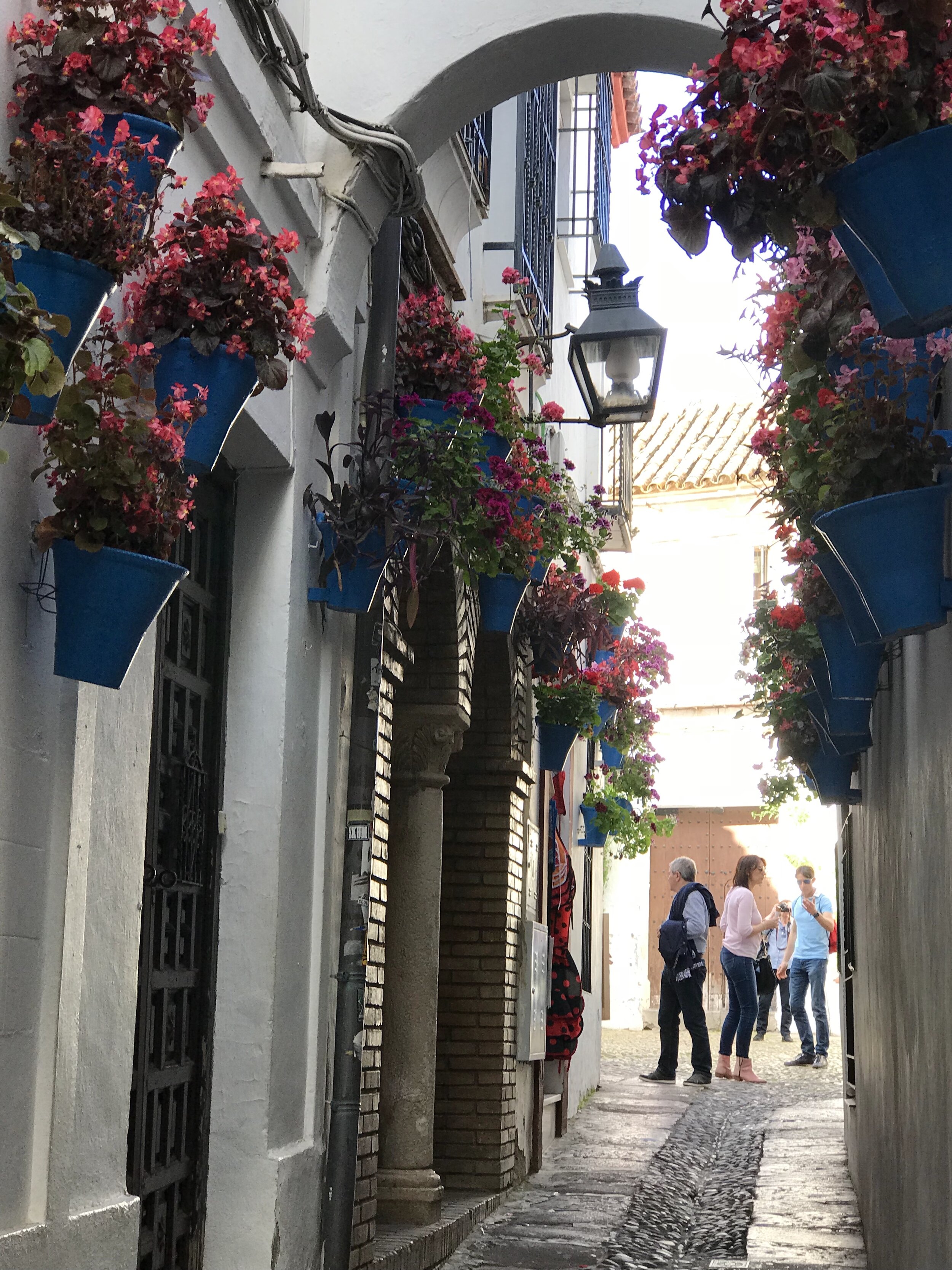 IMG_0882.JPEG