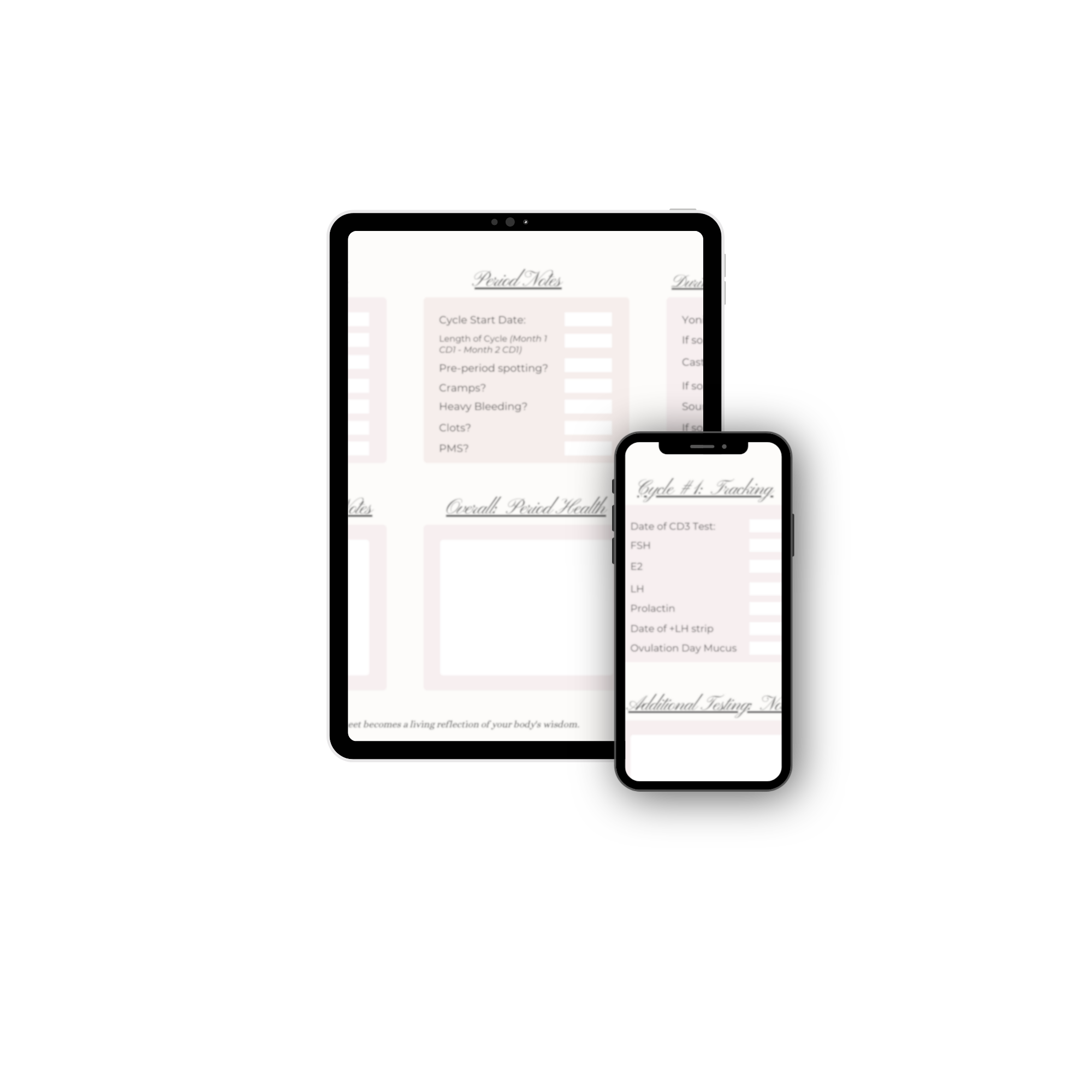 CD3 Workbook.png