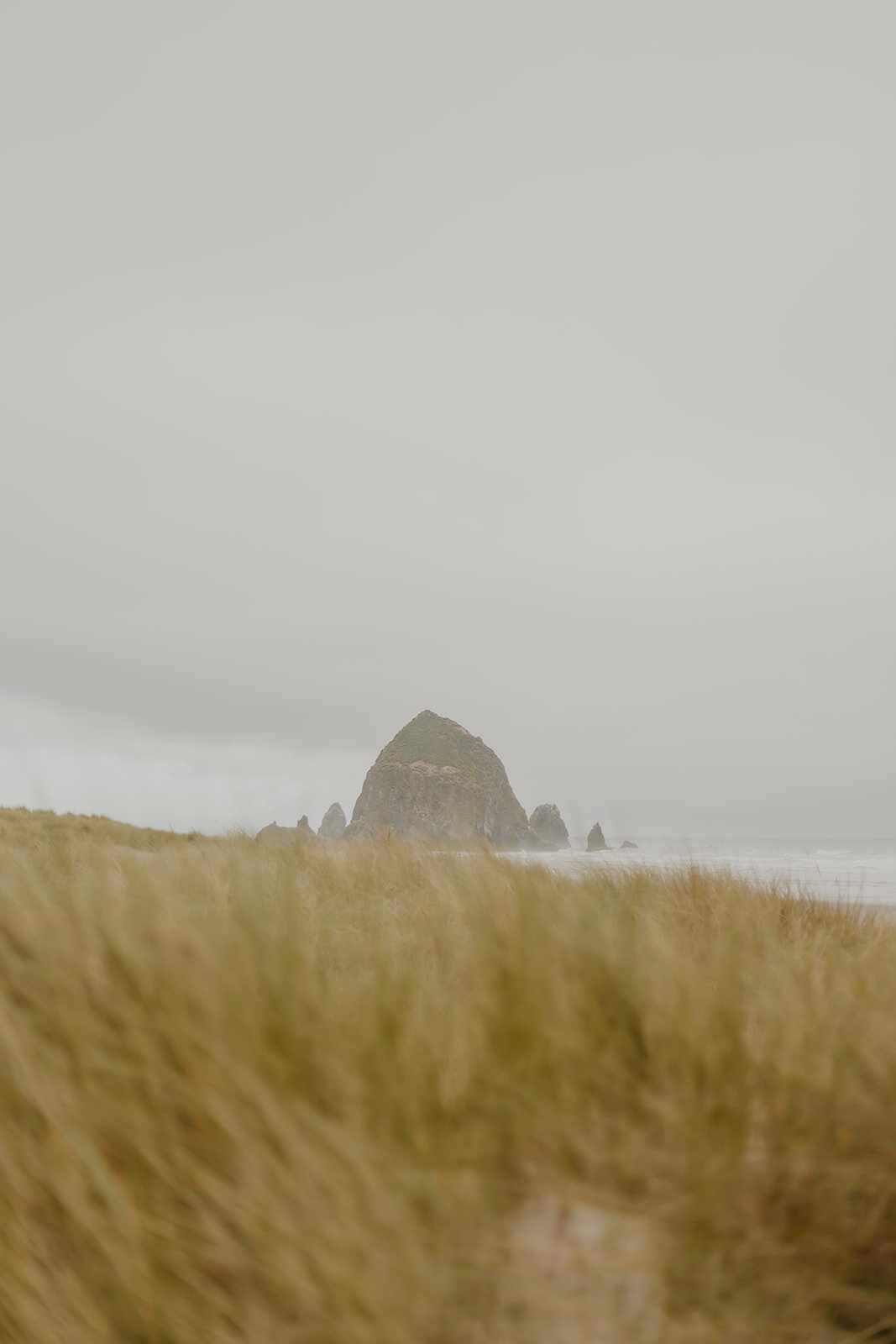 The-Label-Bride-TRINITY-Cannon-Beach-Elopement-21.jpg