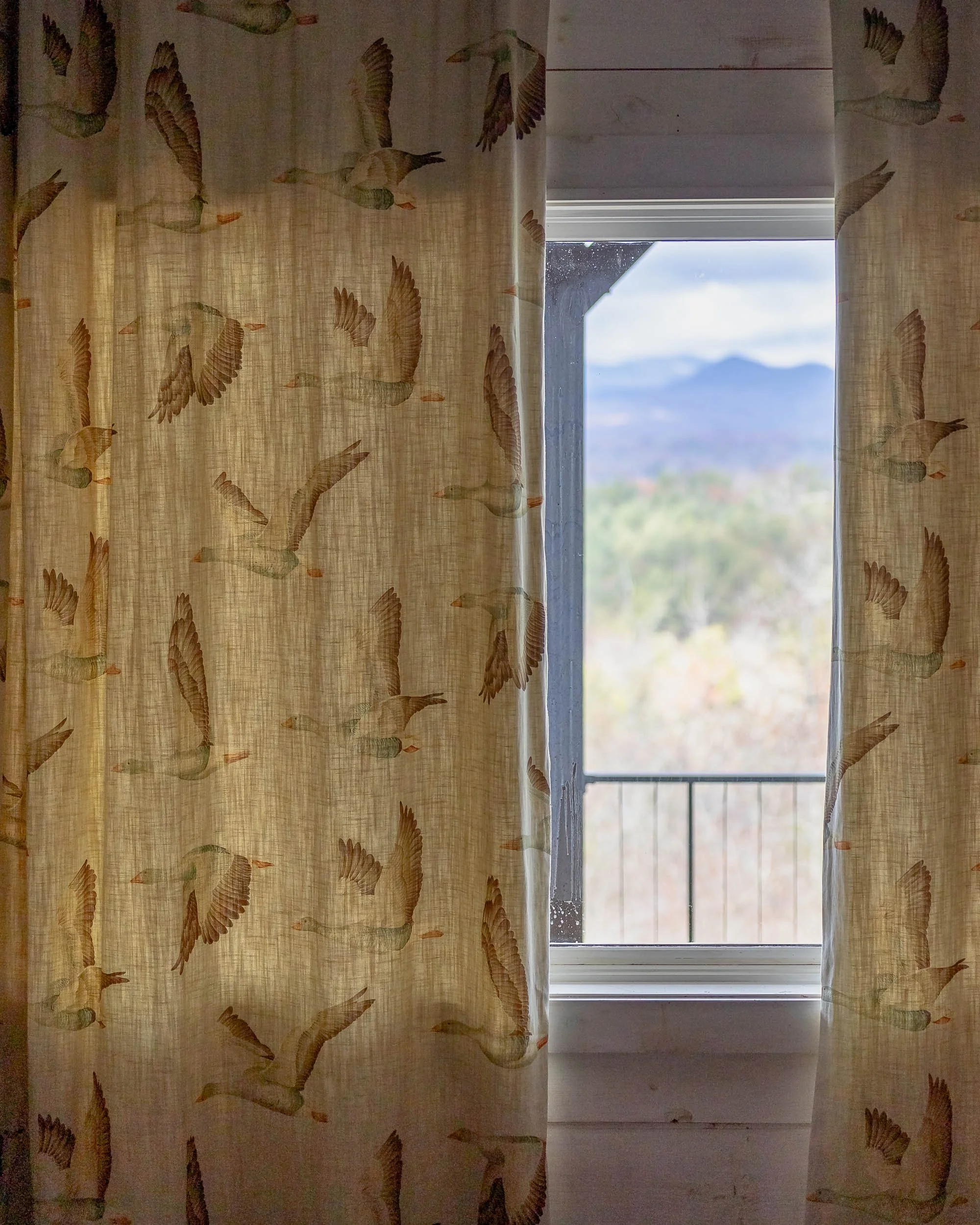 2024-12_Lucy Small_141 Spirits Knob_David Cannon Photography_web-54.jpg