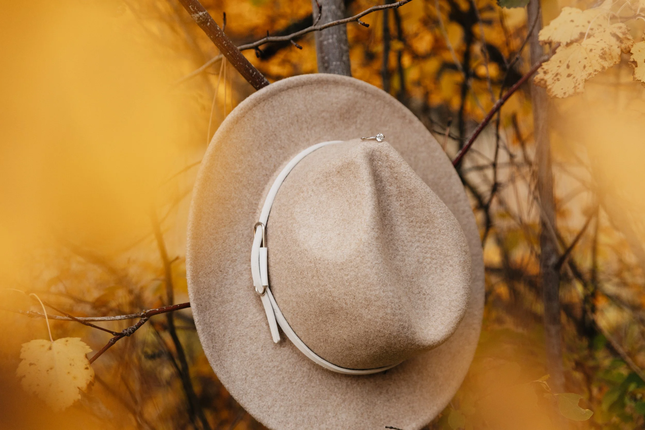 Engagement sessions in Missoula’s forest locations, capturing love and laughter in a relaxed, nature-filled environment.