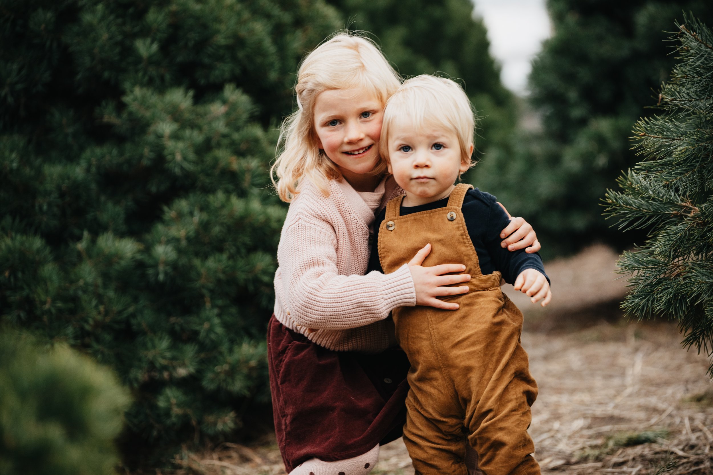Holiday family photography at a Montana Christmas tree farm by a Missoula photographer, focusing on joyful moments and timeless seasonal portraits.