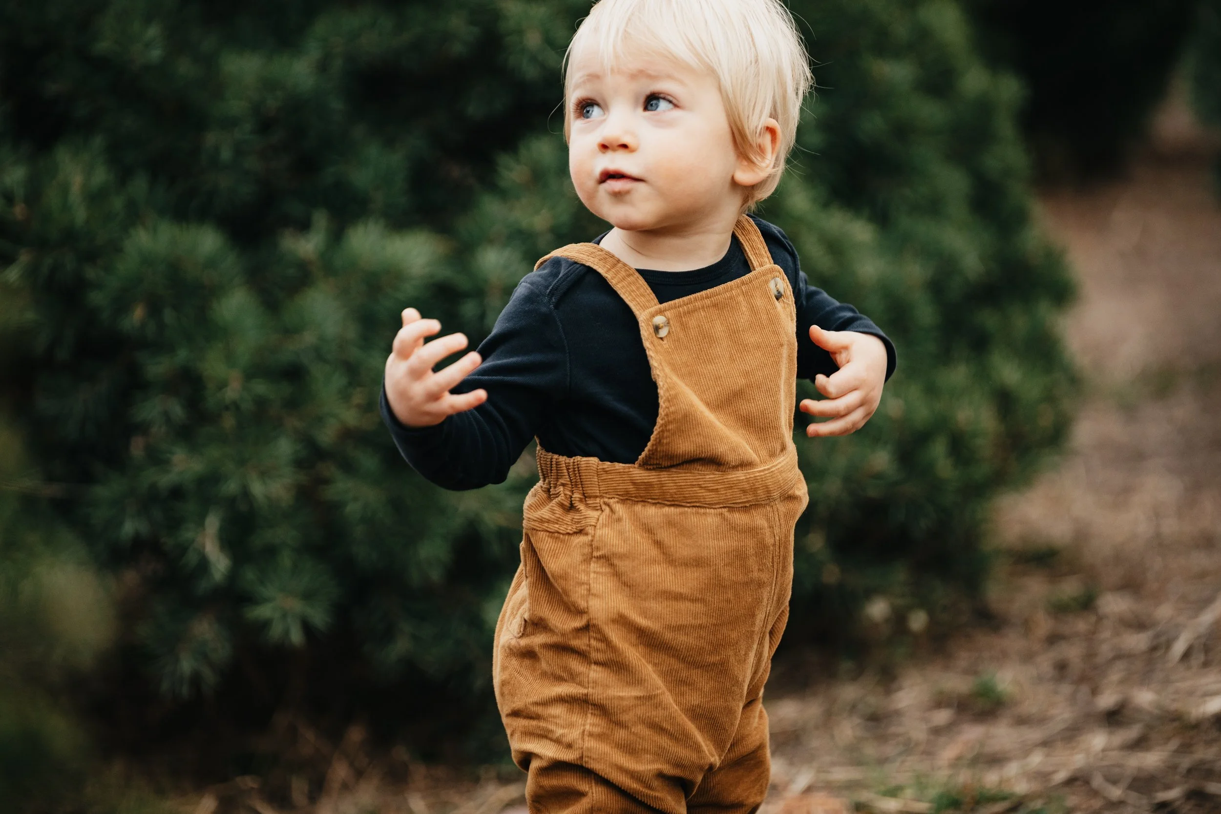 Montana family photographer offering Christmas tree farm sessions in Missoula, creating festive, natural family photos surrounded by evergreens.