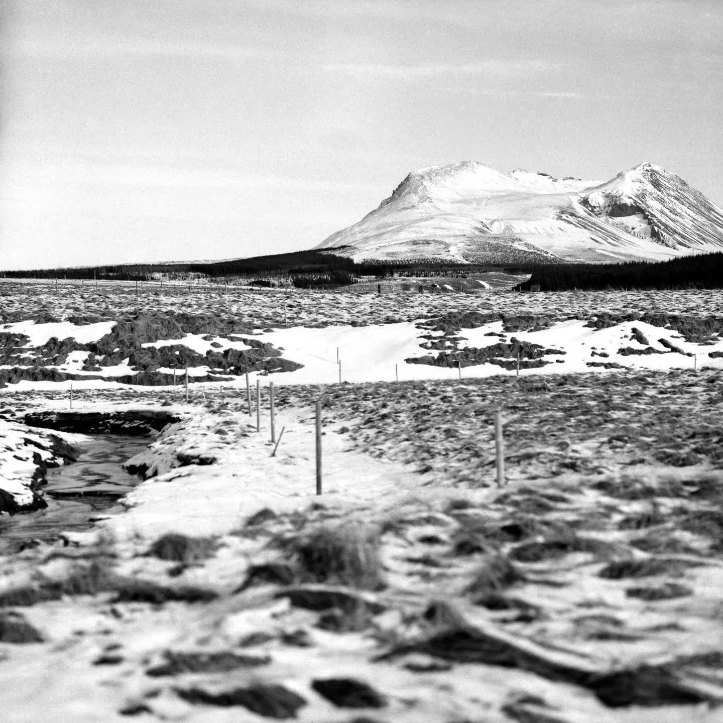 This weekend will be attempt 2 to develop.  Attempt 1 failed last weekend for unexpected reasons of not having chemicals!  Turns out id finished them before the move which was nice and neat but forgot.  It's the first development in this house which