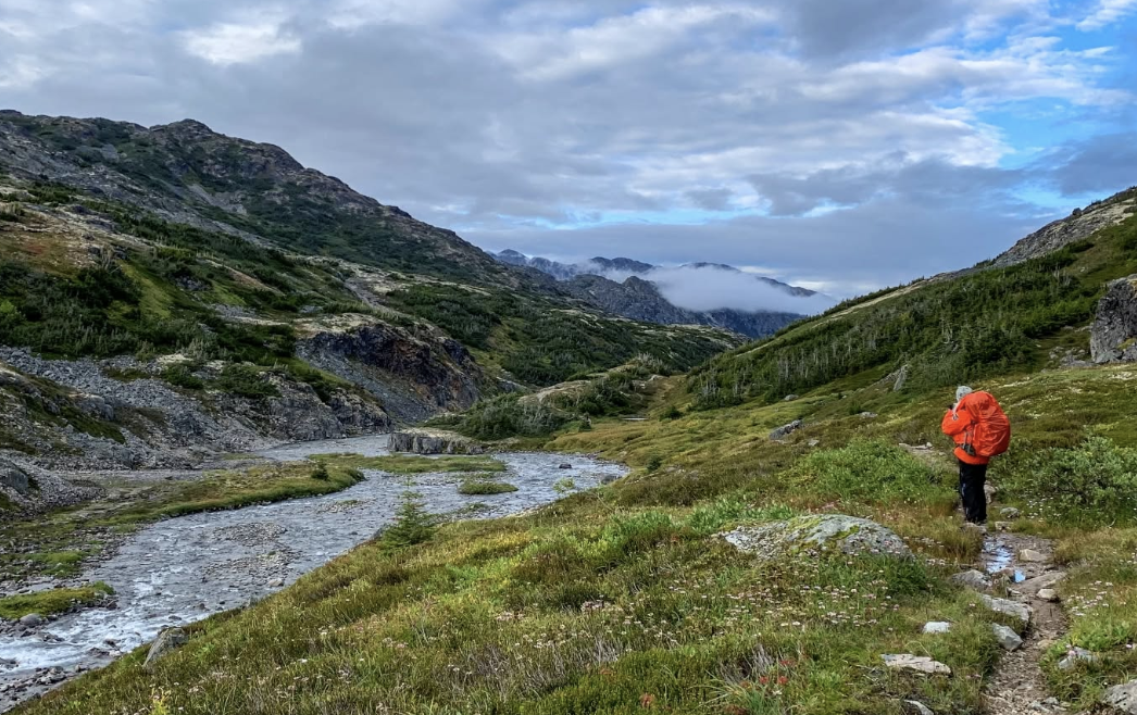 Screen Shot 2026-02-08 at 3.17.20 PM.png