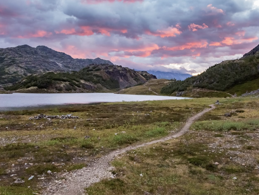 Screen Shot 2026-02-08 at 3.17.01 PM.png